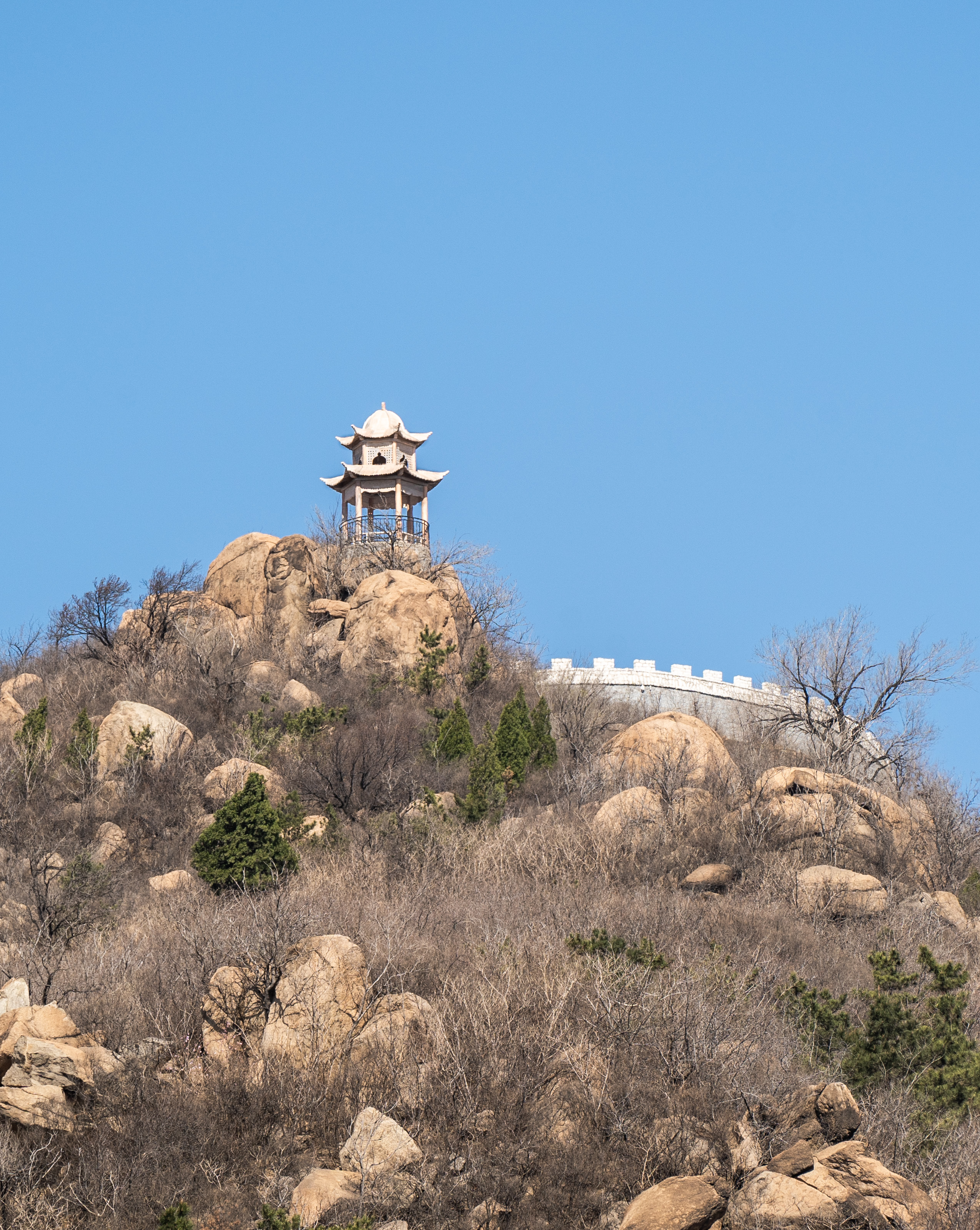 樱花山风景区,位于山东滨州市邹平县,是淄博企业家颜景江先生