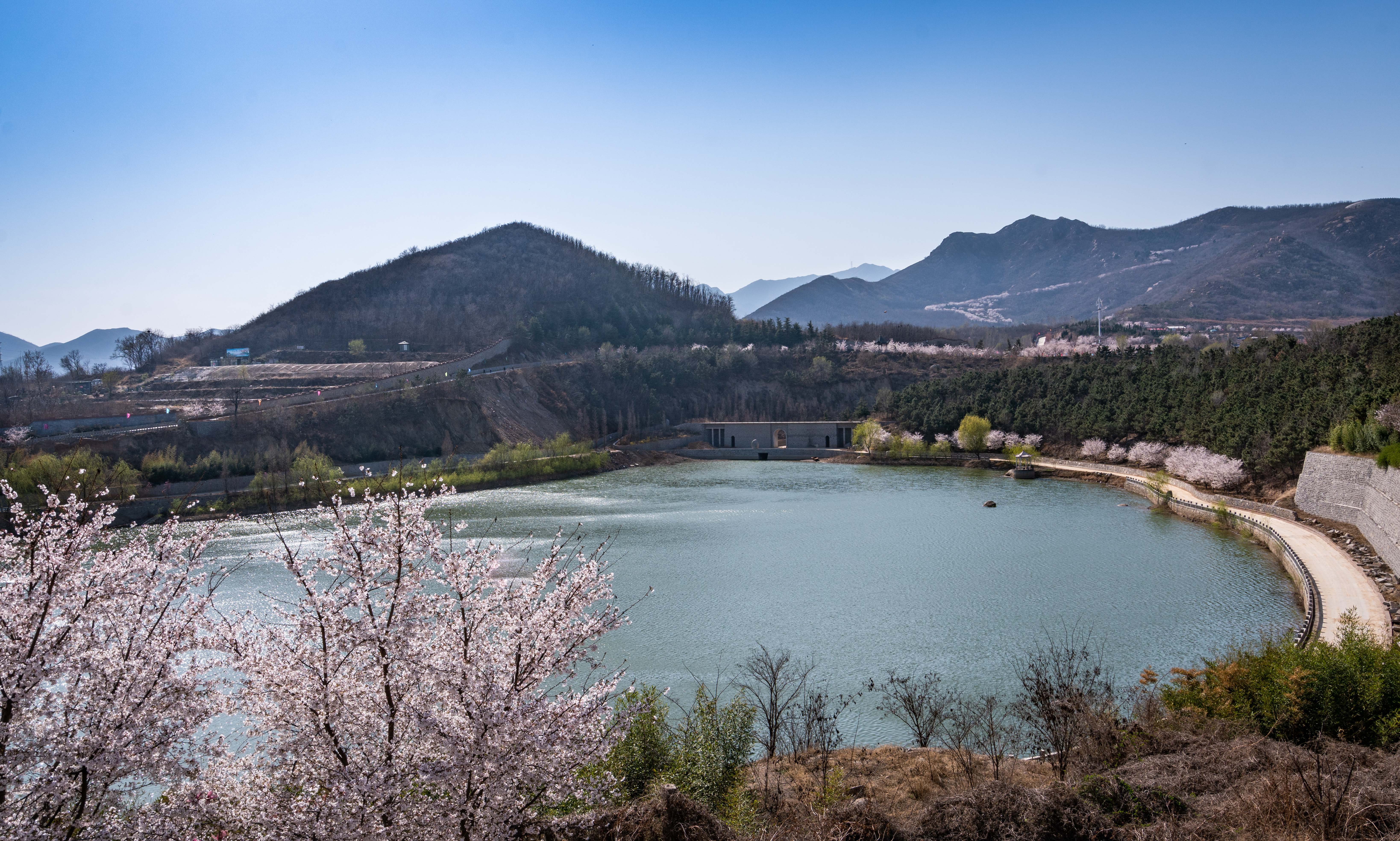 樱花山风景区,位于山东滨州市邹平县,是淄博企业家颜景江先生