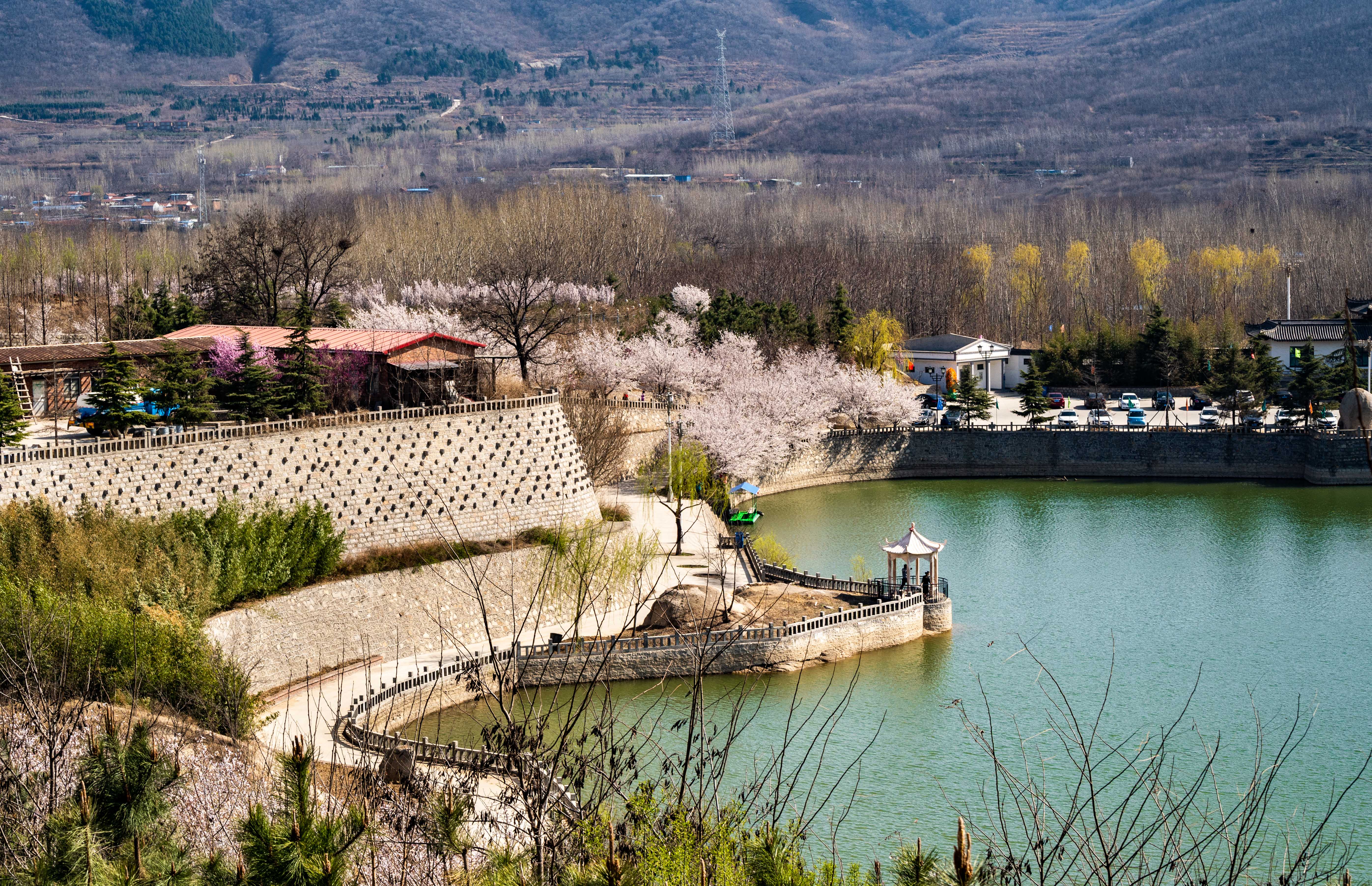 樱花山风景区,位于山东滨州市邹平县,是淄博企业家颜景江先生