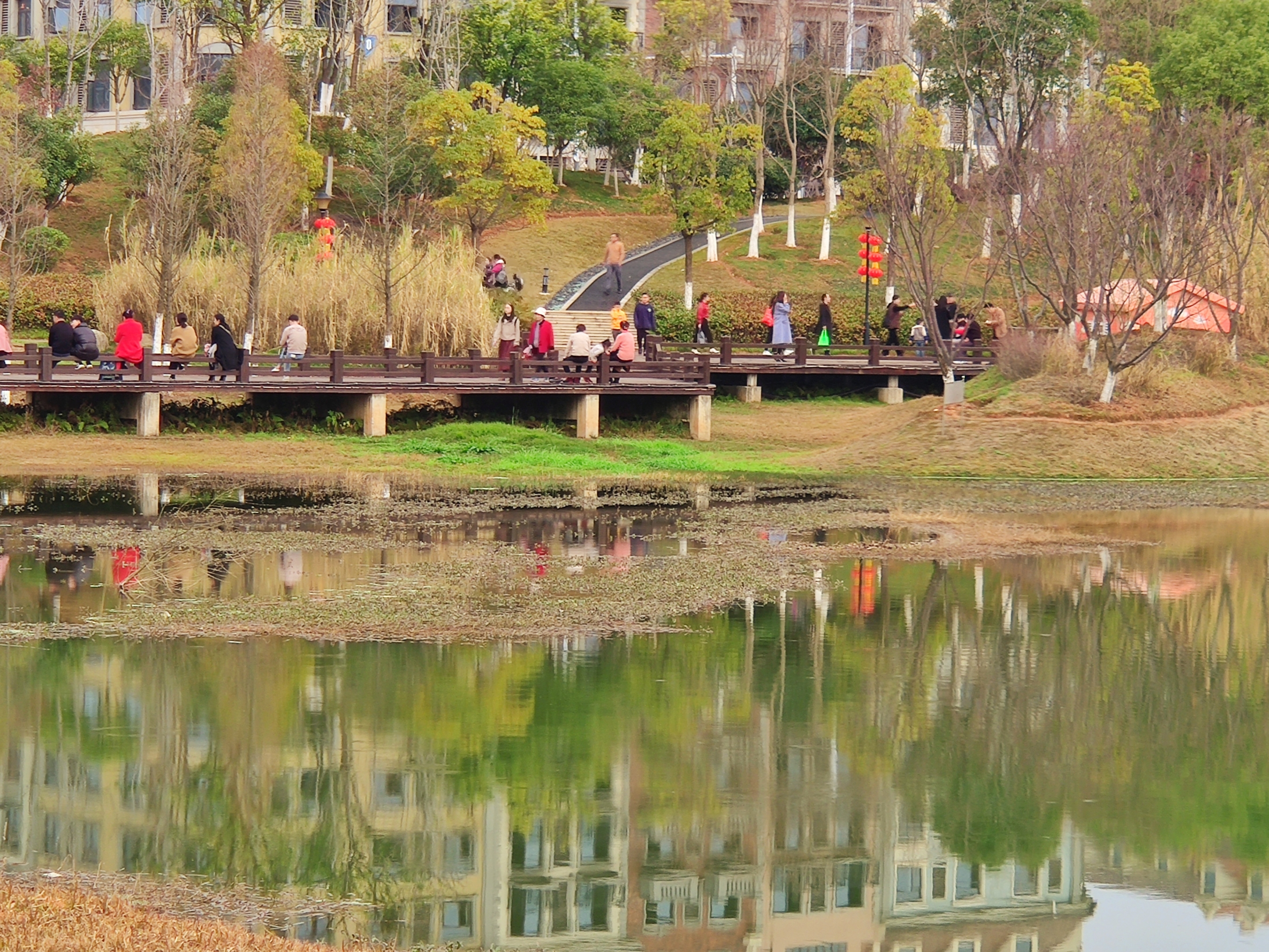 九龙湖湿地公园