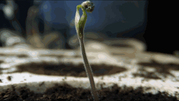 358_202gif 动态图 动图