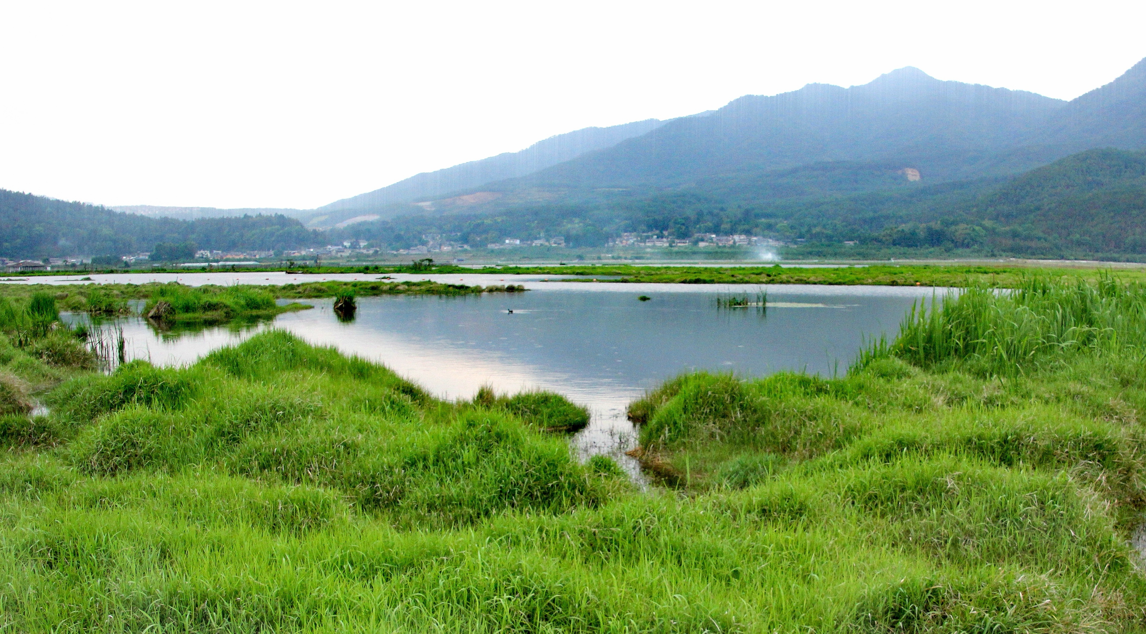 腾冲北海湿地风景区首发