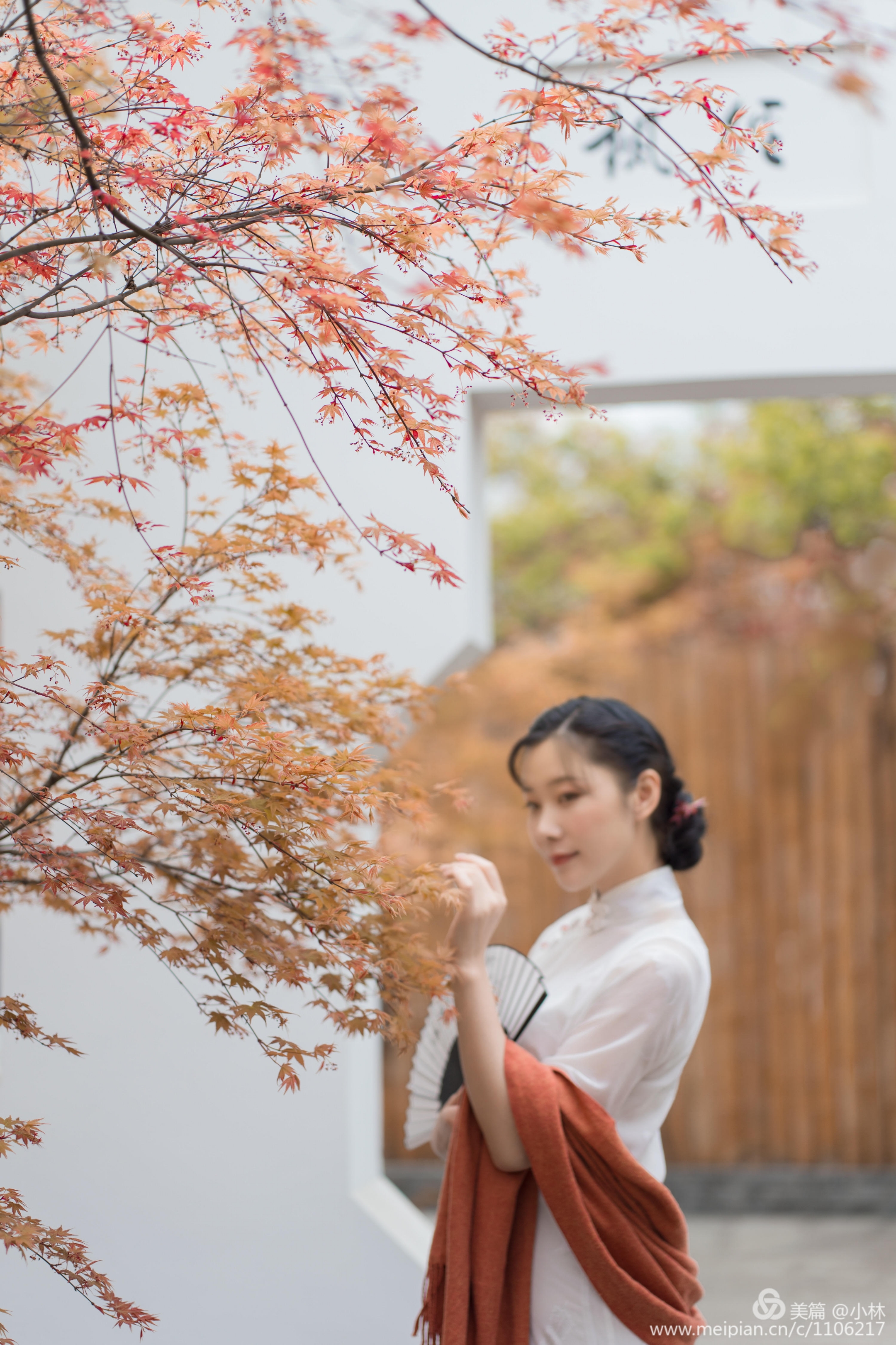 你是落在我肩上的云