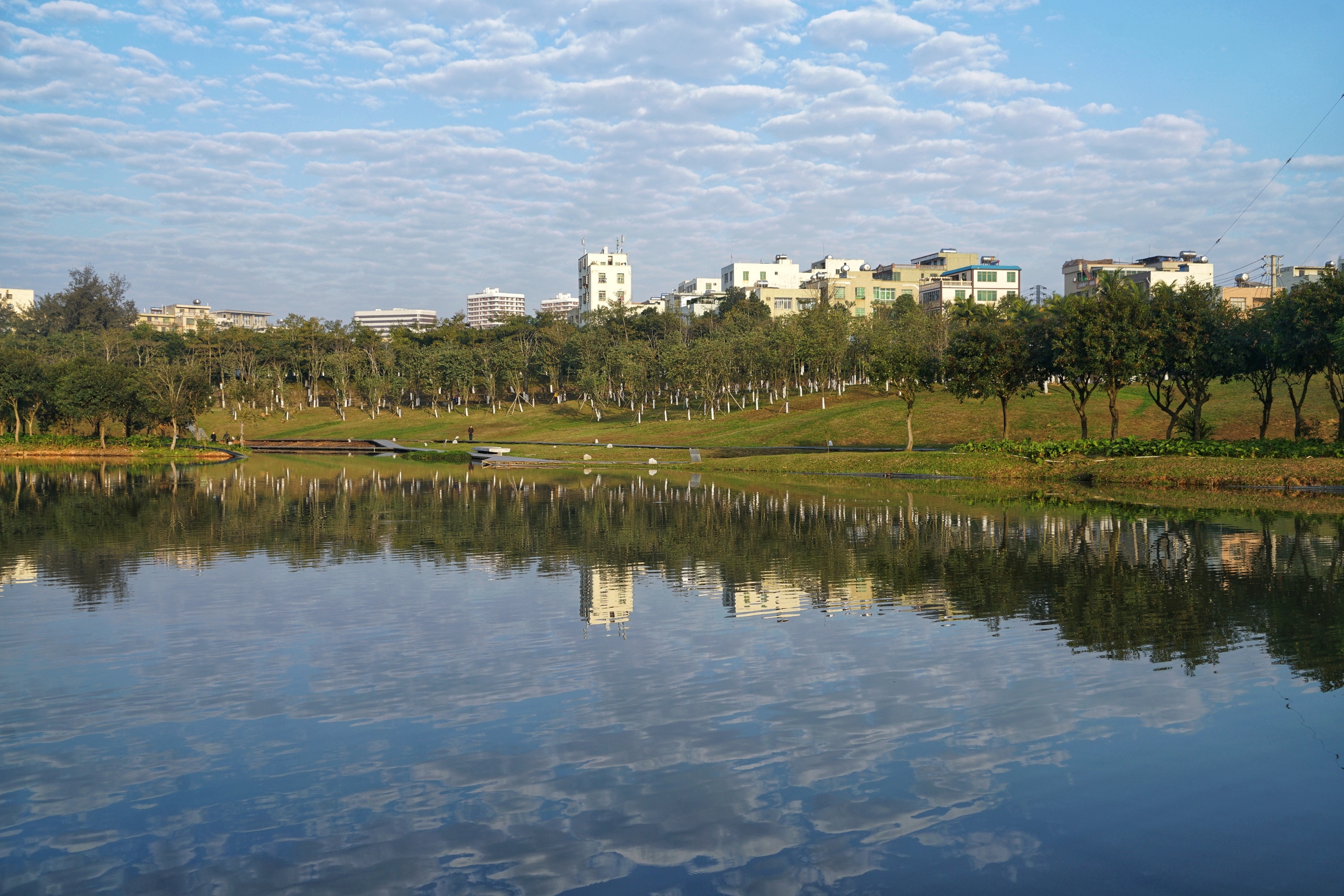 美舍河湿地公园