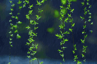 首发雨我四季的爱恋