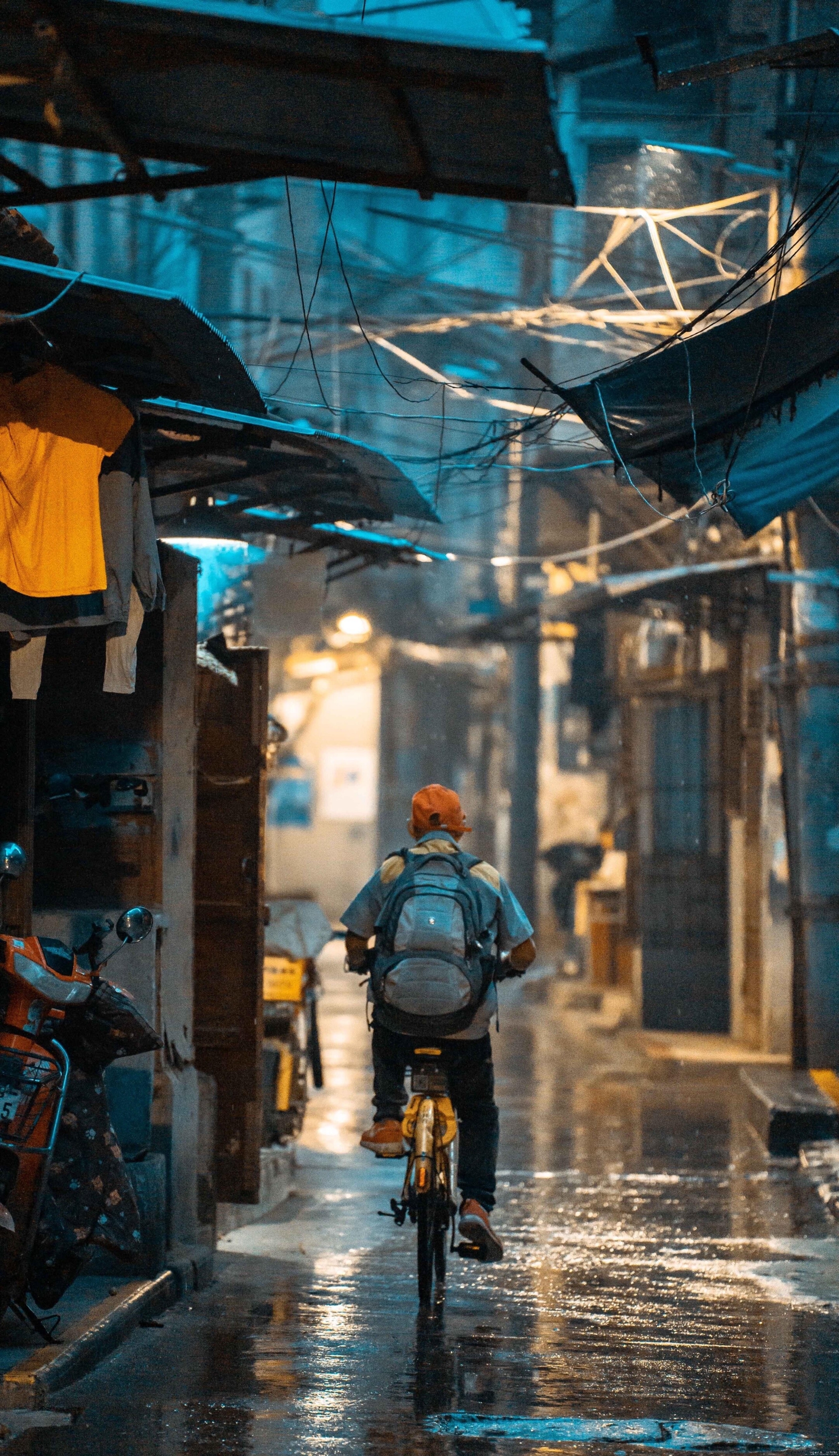 【首发】背影仍在风雨中行走