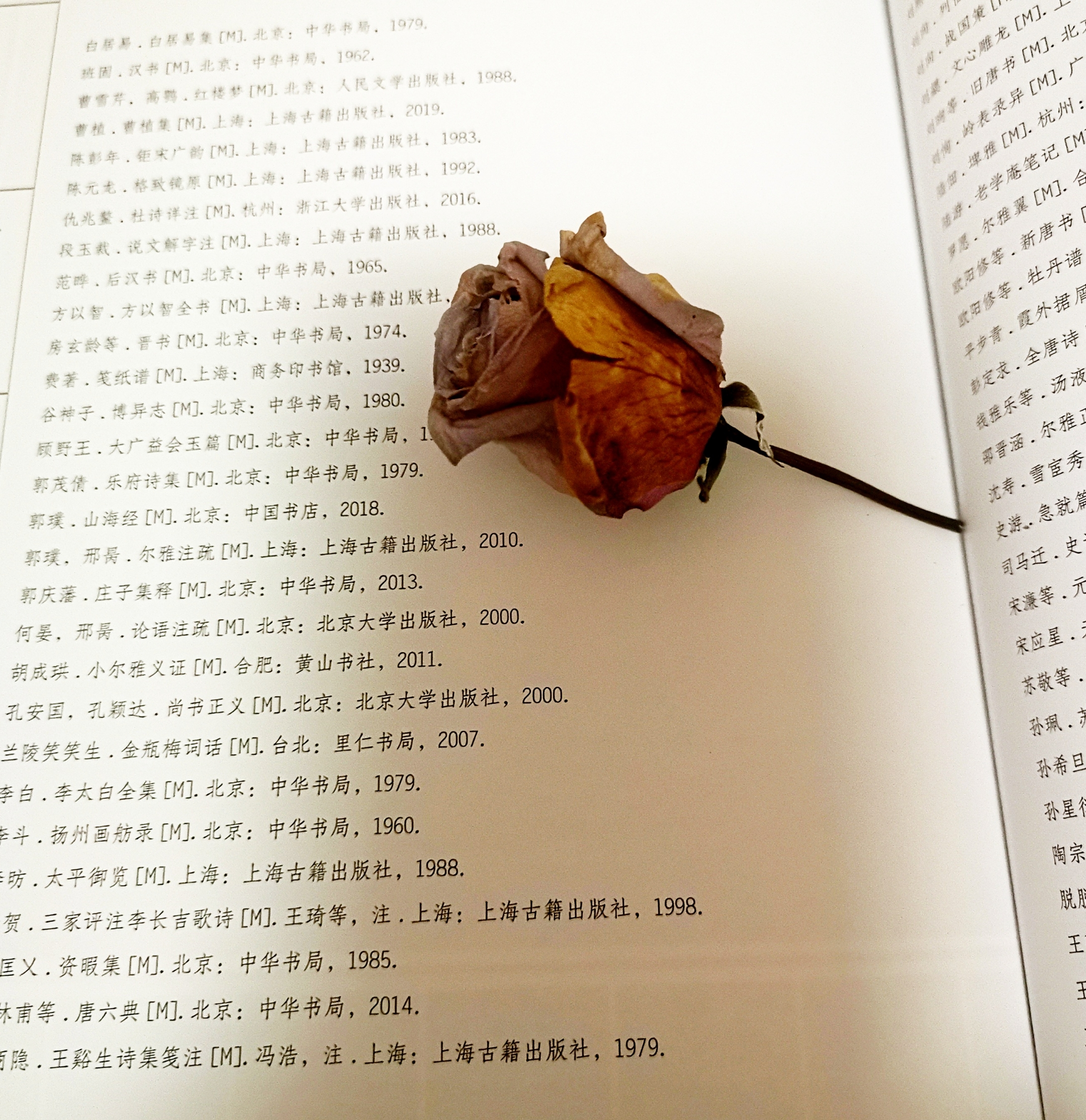《一朵小花》 普希金(俄罗斯) 诵读:银河飘月 摄影:银河飘月 我看见