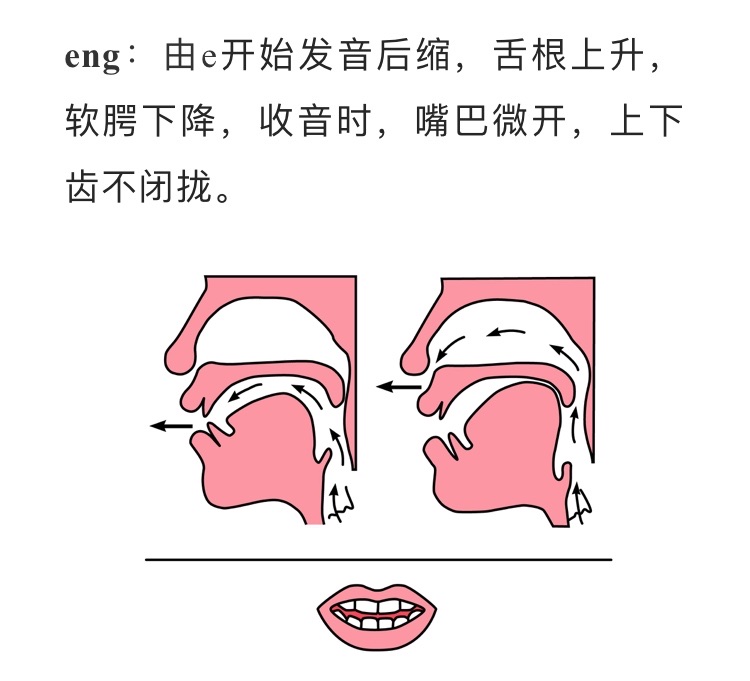 eng发音时,先发e,舌根向软腭移动,抵住软腭,气流从鼻腔通过.