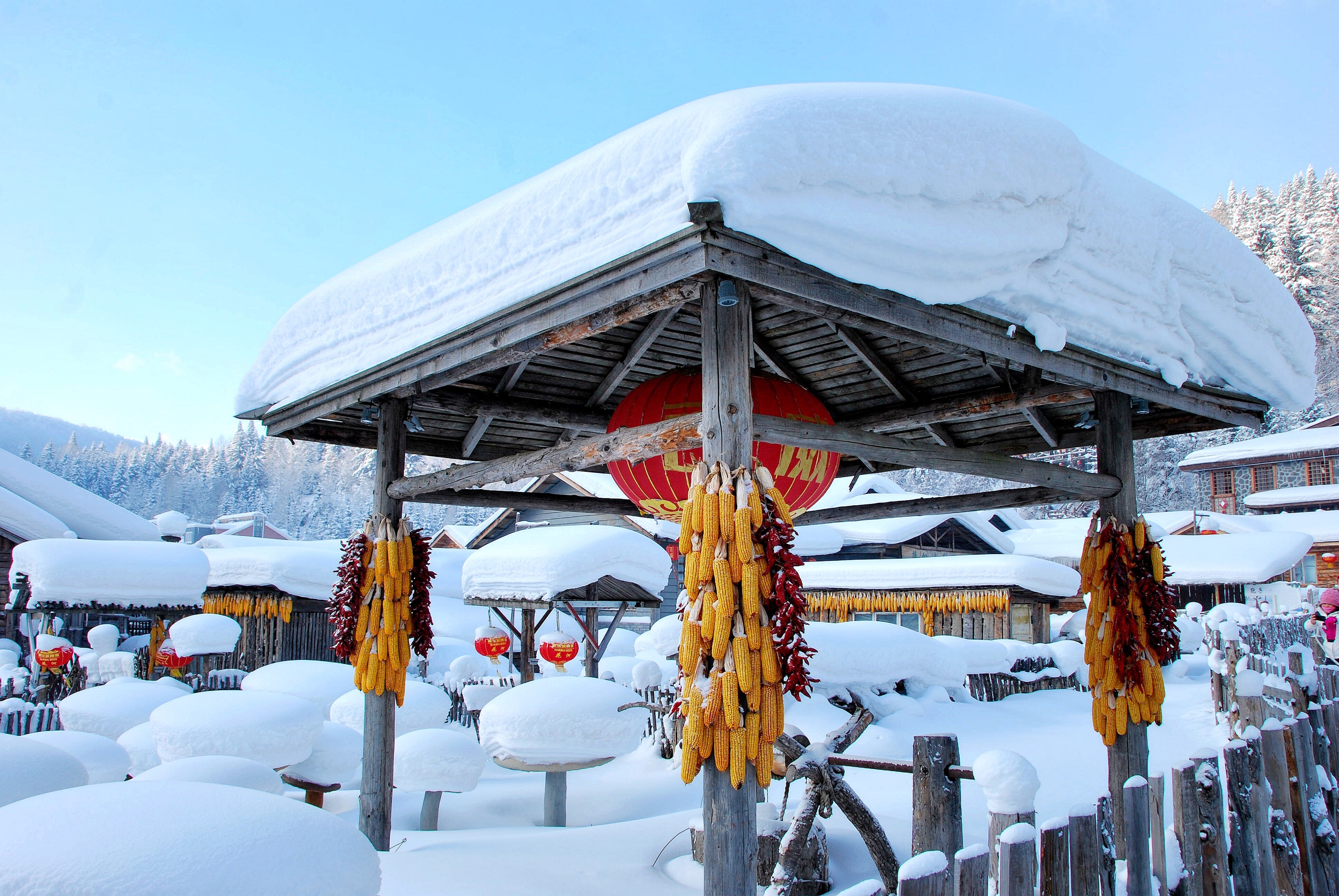 中国雪乡(首发)