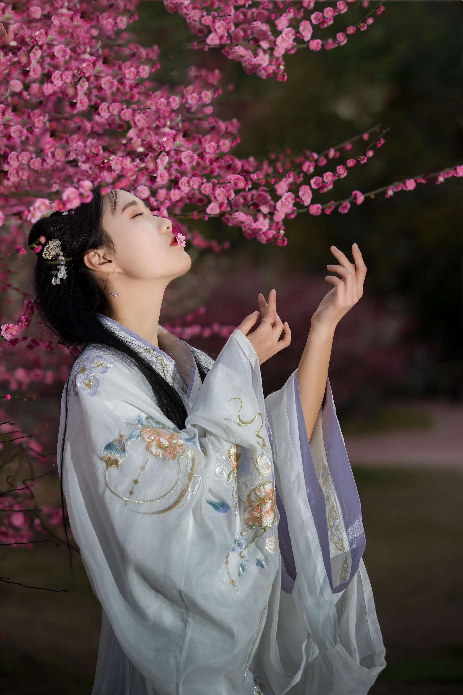 【折花令】弄曲桃灼空相约