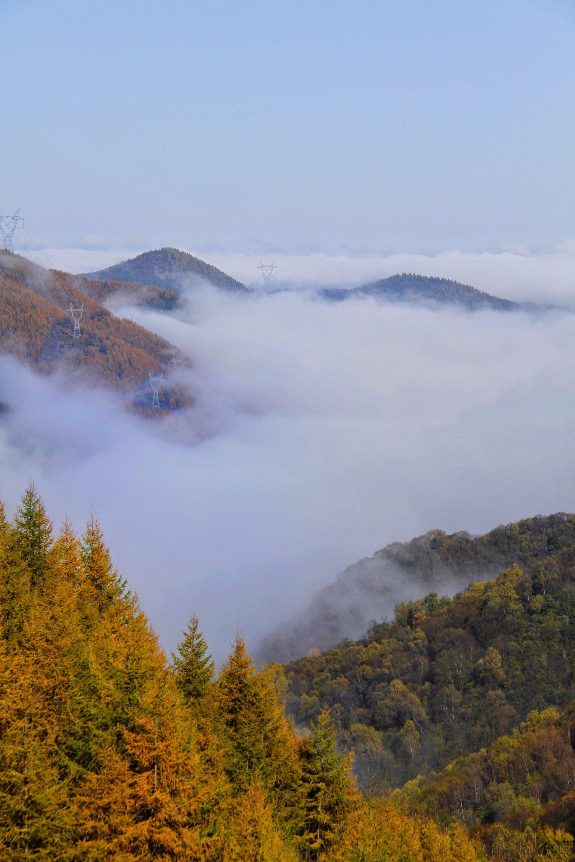 秋染六盘山,层林尽染正迷人