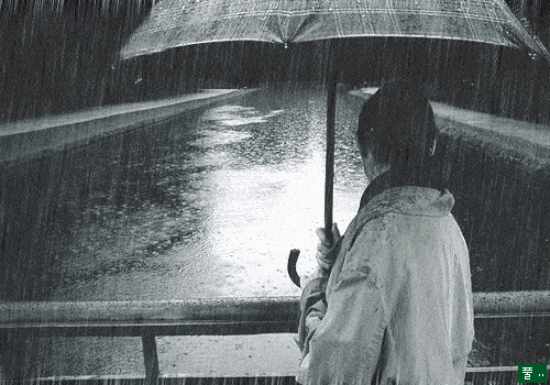 《听雨》
