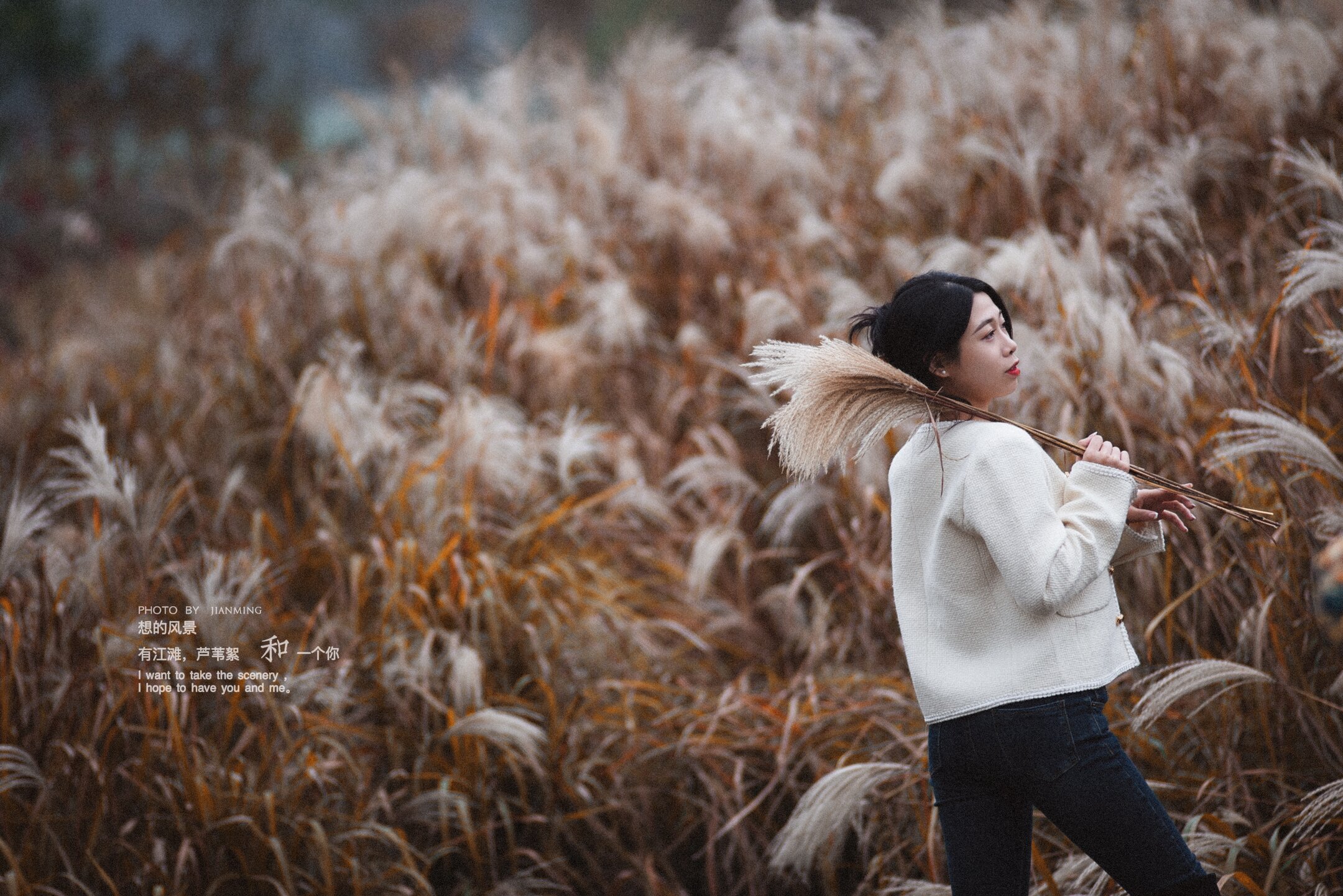 追光逐影第八期,风中芦苇