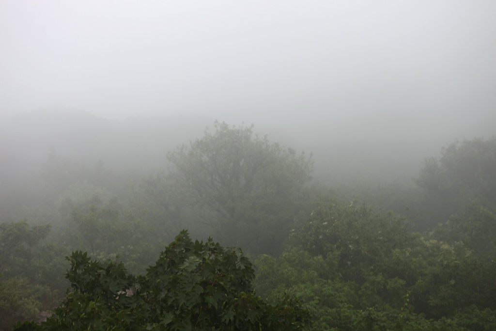 在雨中飘摇的心情,半是迷茫,半是清醒(原创首发)