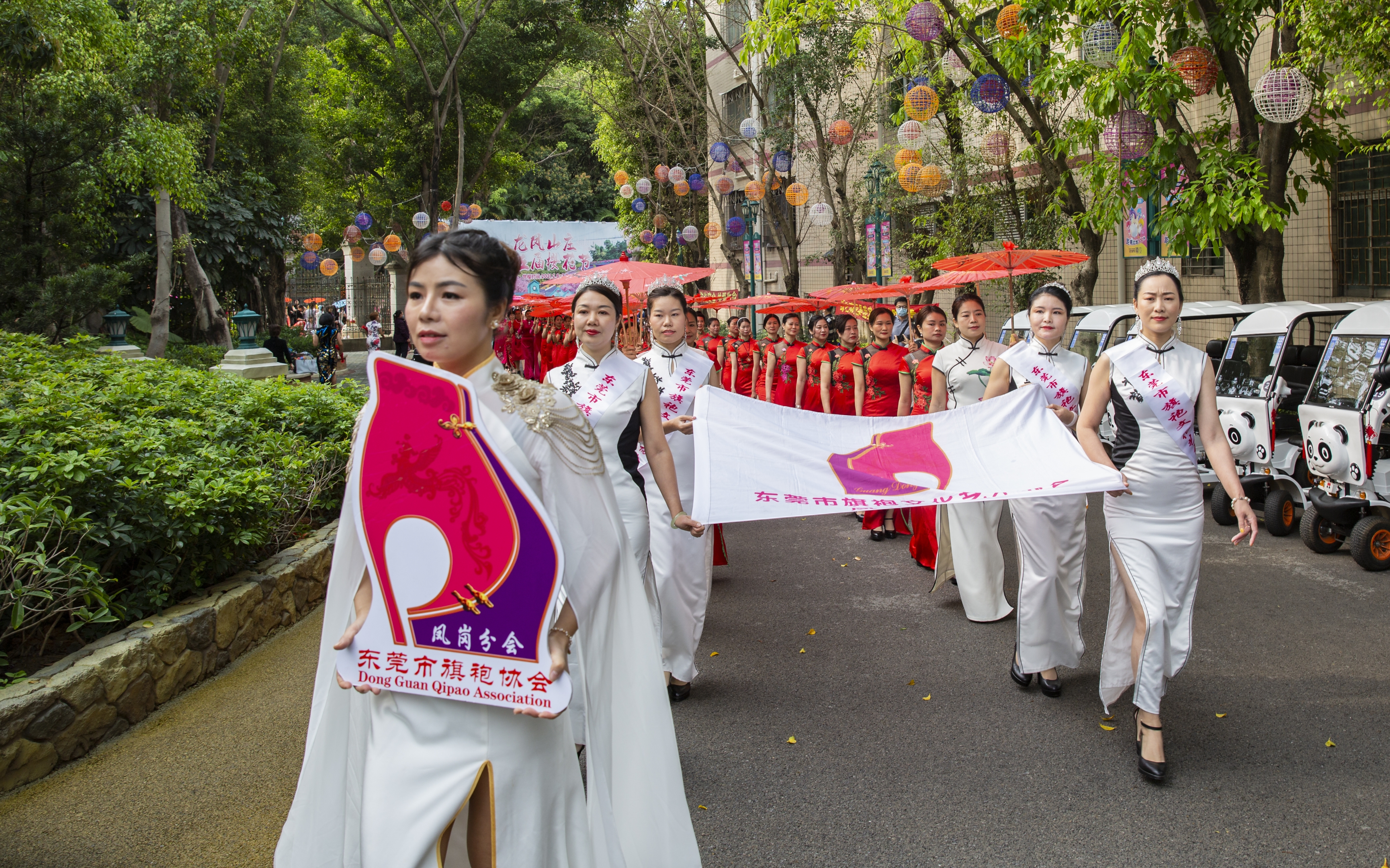 女神们三八节快乐