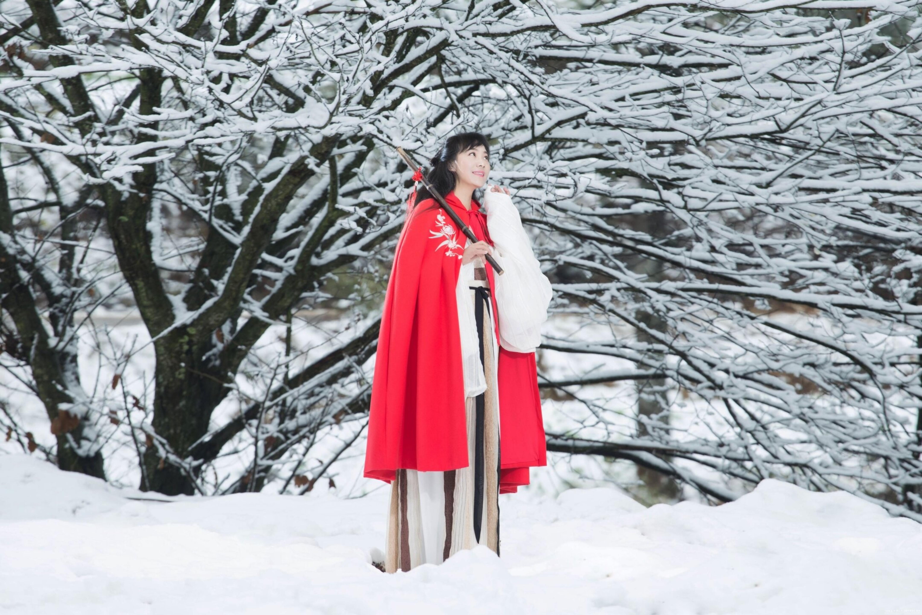 我是雪中一枝梅 【首发】