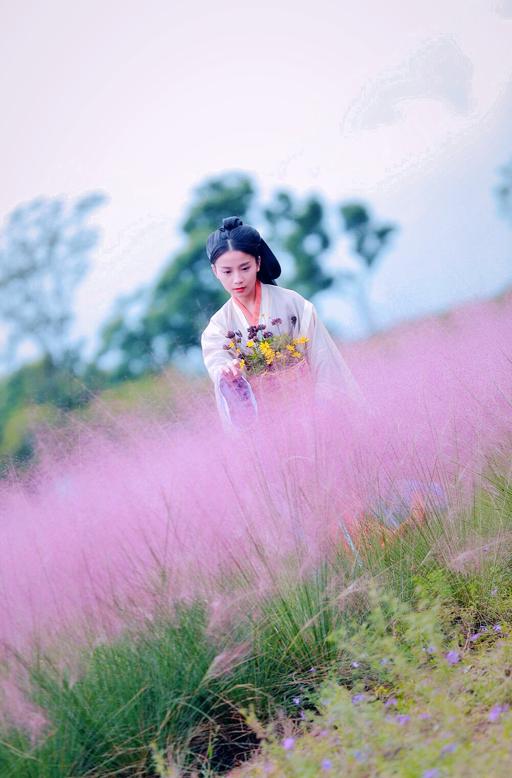 粉黛浣花锦