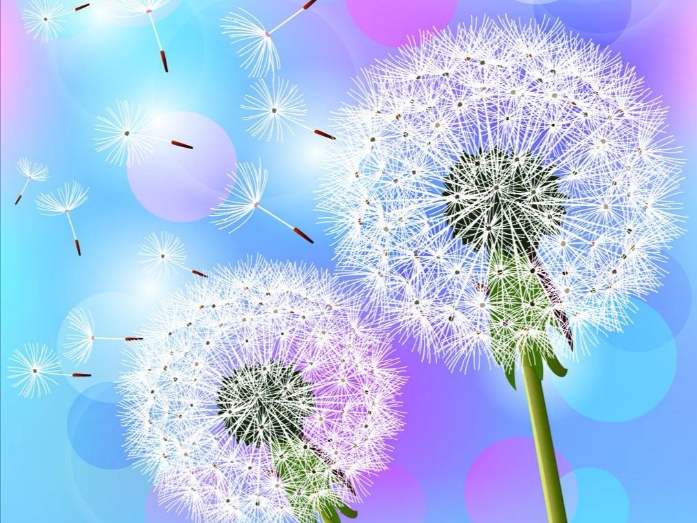 在蓝蓝的天空中,一群蒲公英随风飞翔.