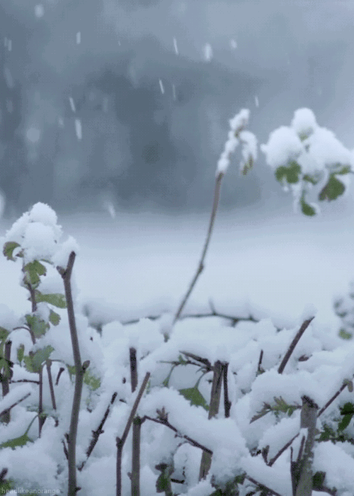 你那里下雪了吗? 诵读:潇强&龙小双