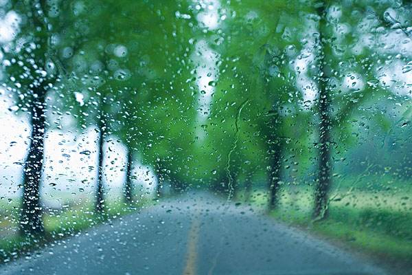 【首发】雨天的历程