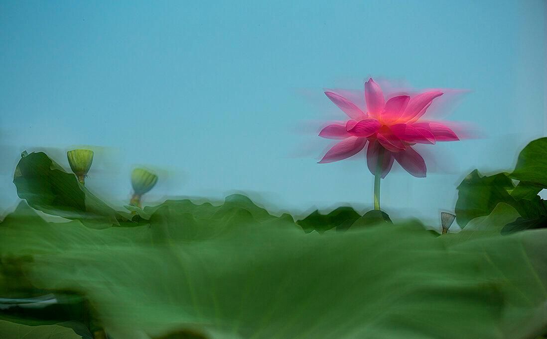 (首发)七月的风