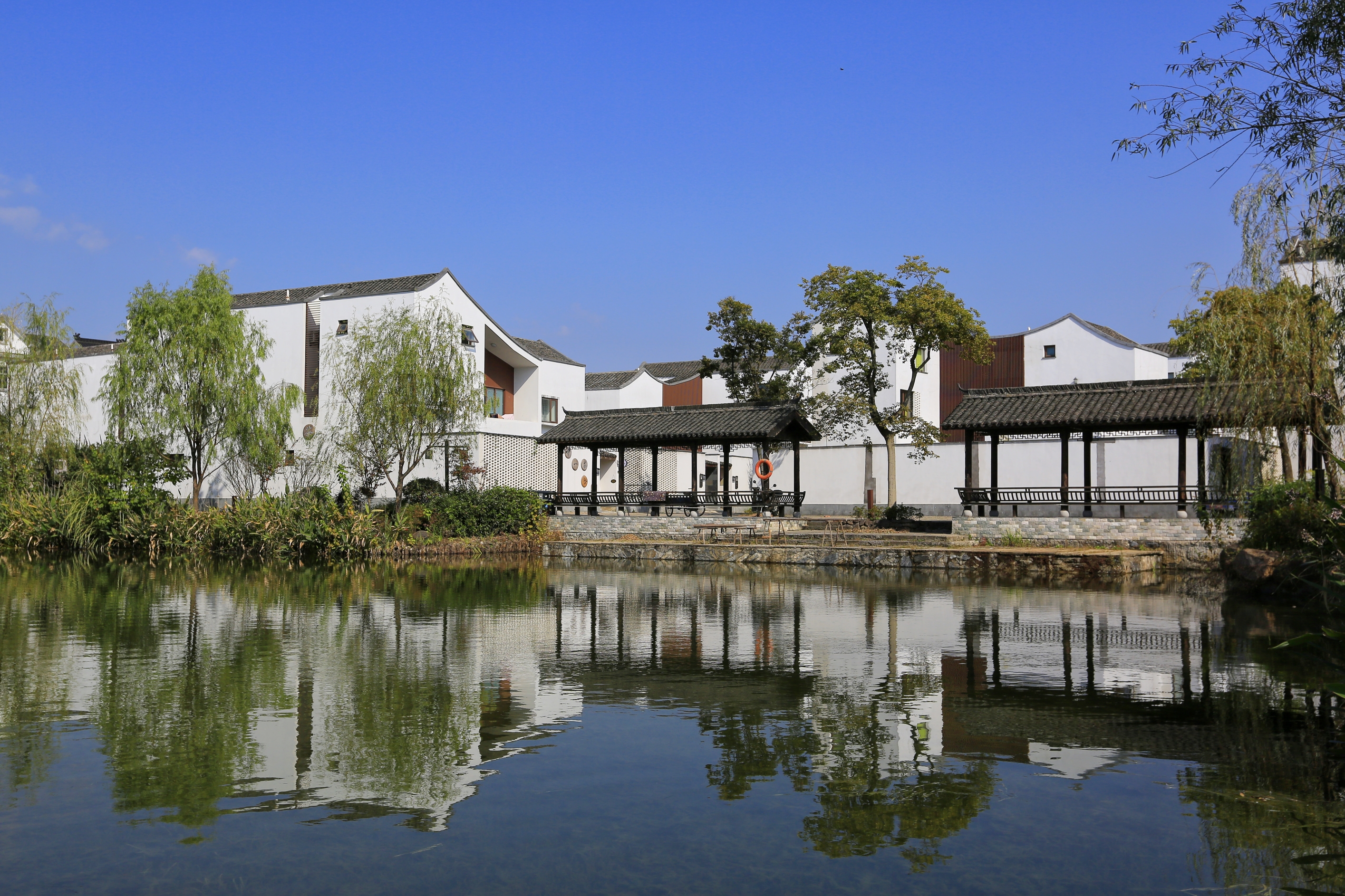 首发白墙黛瓦水墨江南