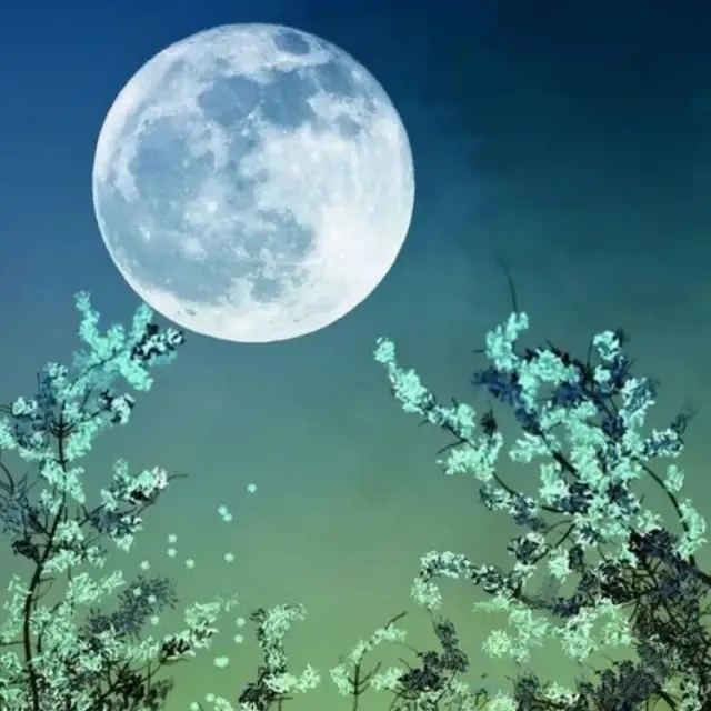 窗遥望 温柔的风儿吹拂着大地 圆圆的月亮挂在天上 神州儿女共赏明月