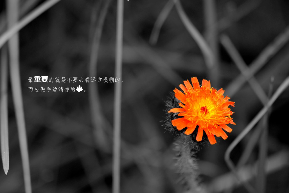 时间从来不语悄然带走遗憾(首发)