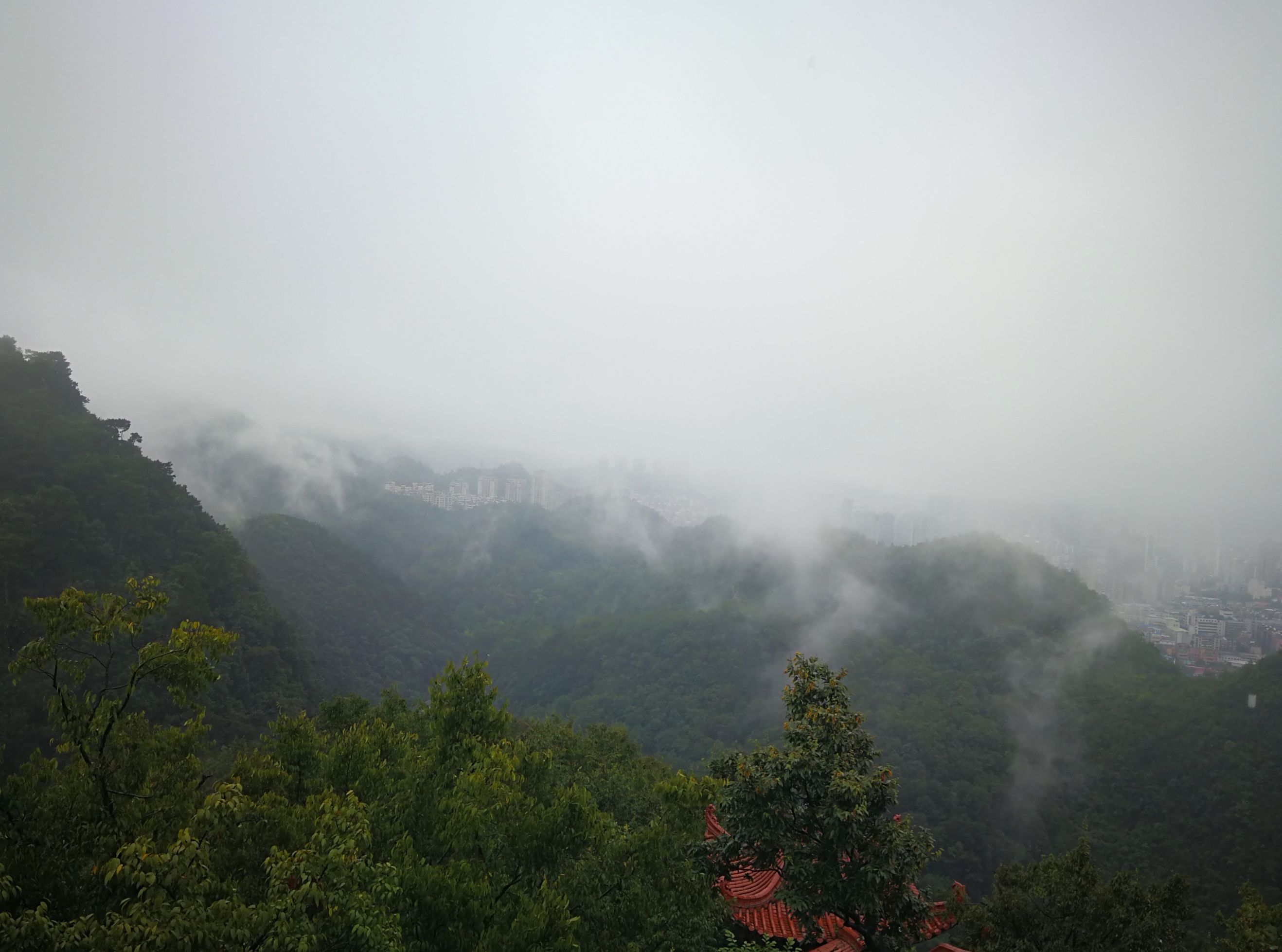 城市烟雨别样的风景