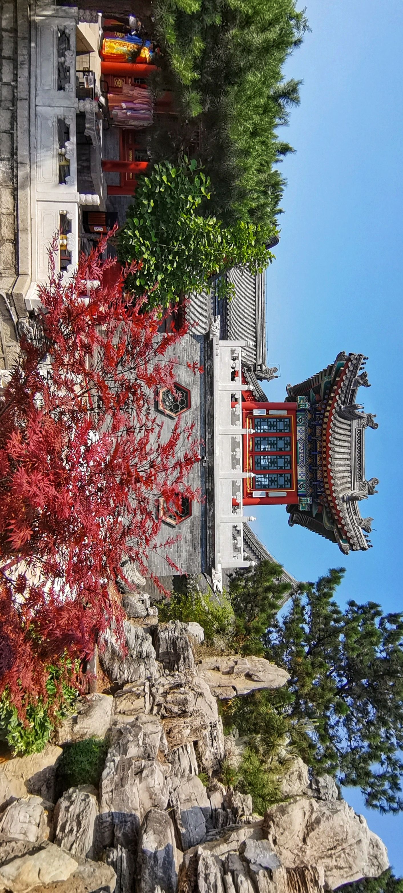 北京艺麓园首发