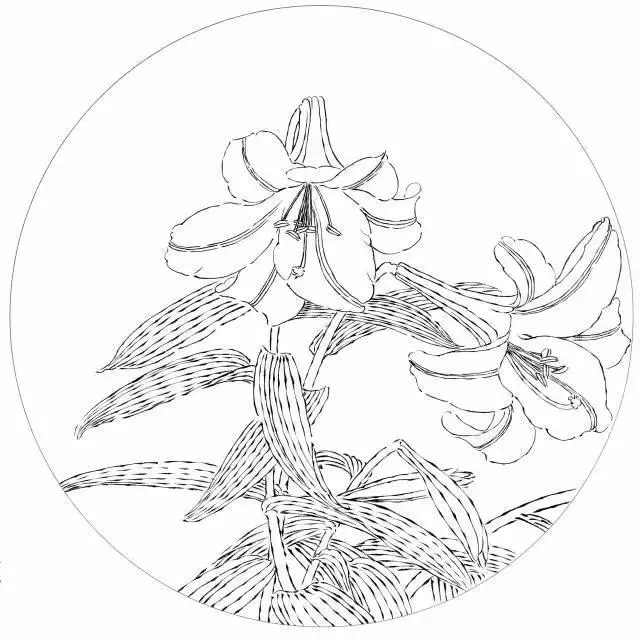 中国传统白描图谱以及白描知识及线描要求