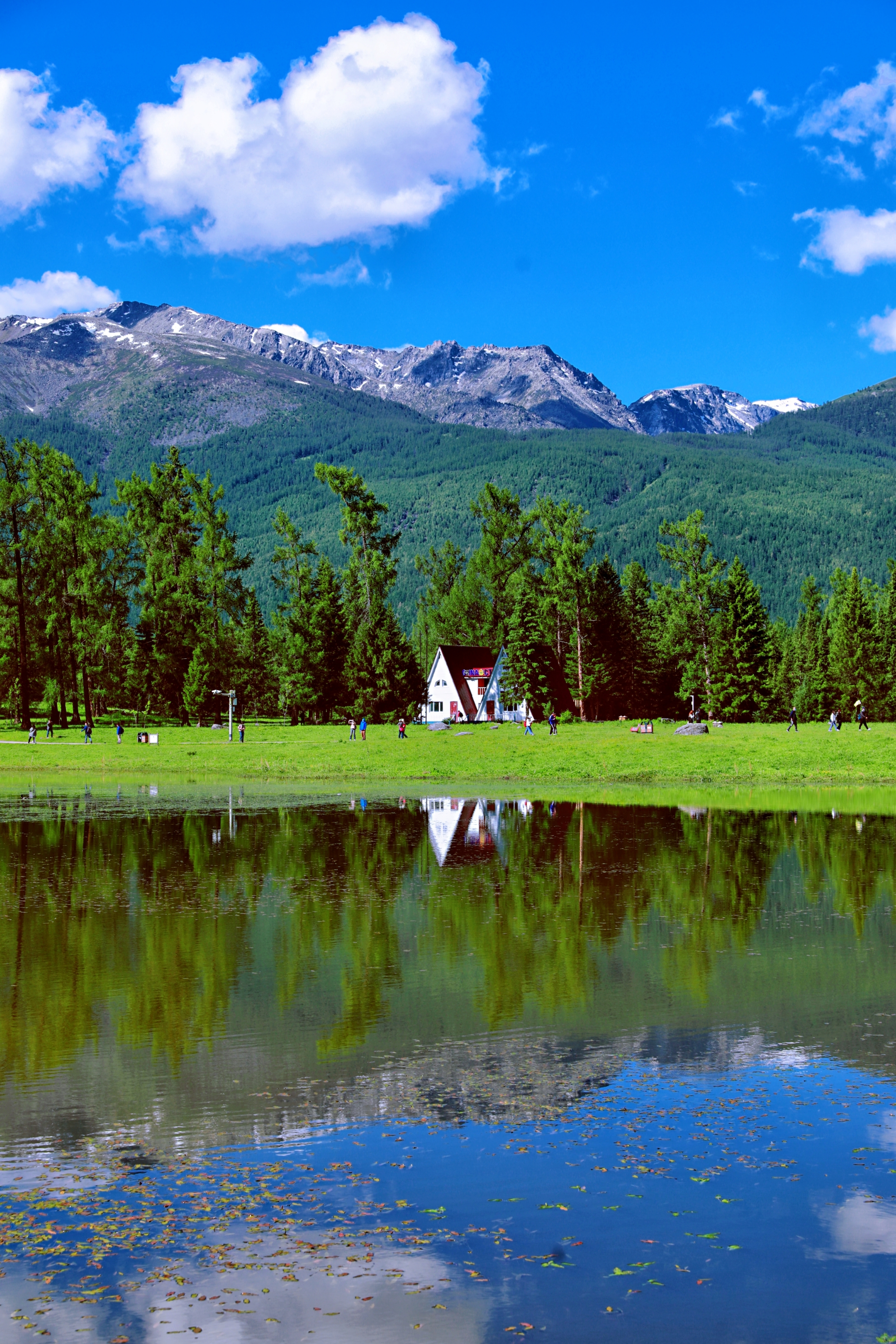 喀纳斯风景