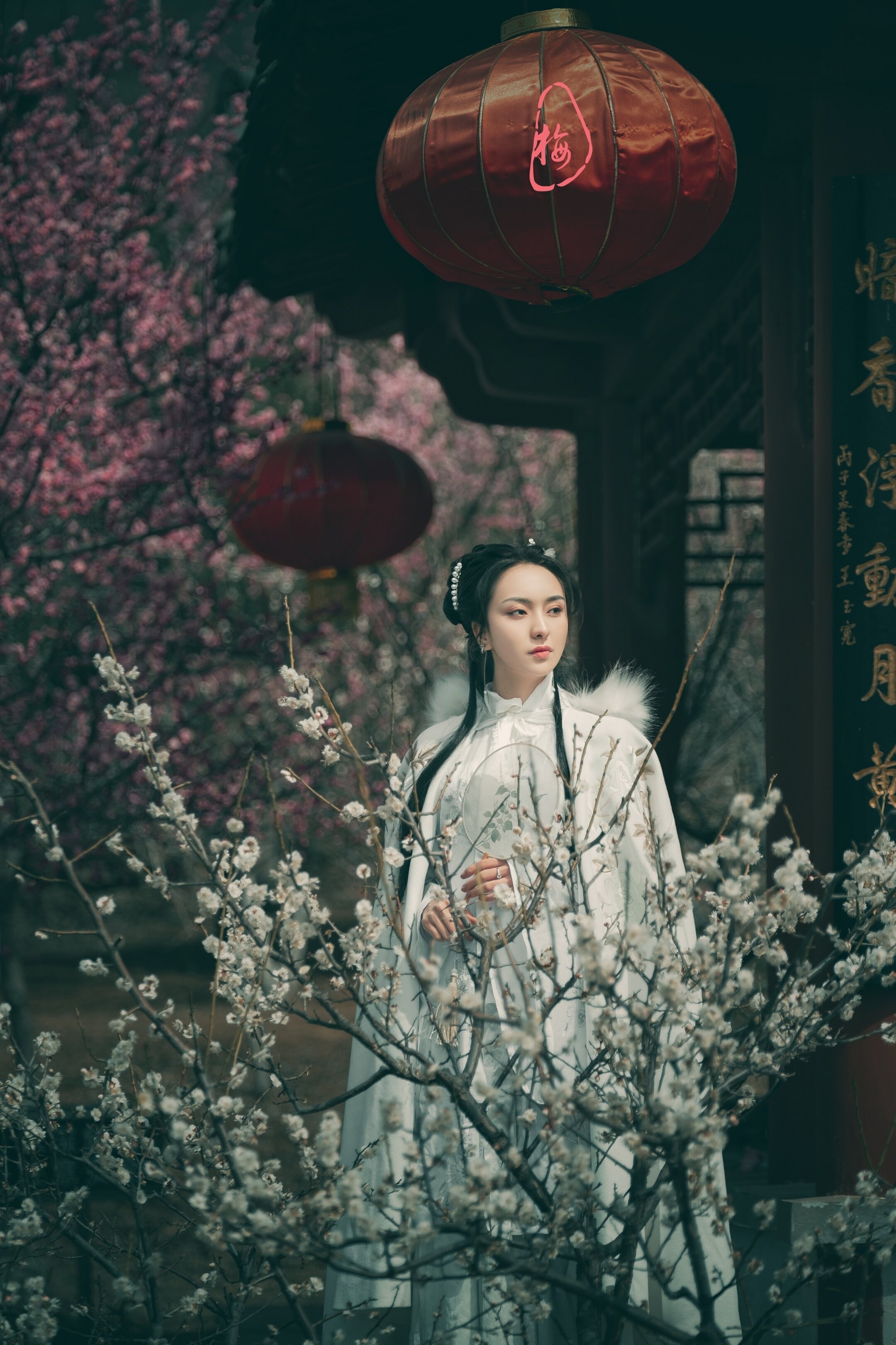 梅花泪