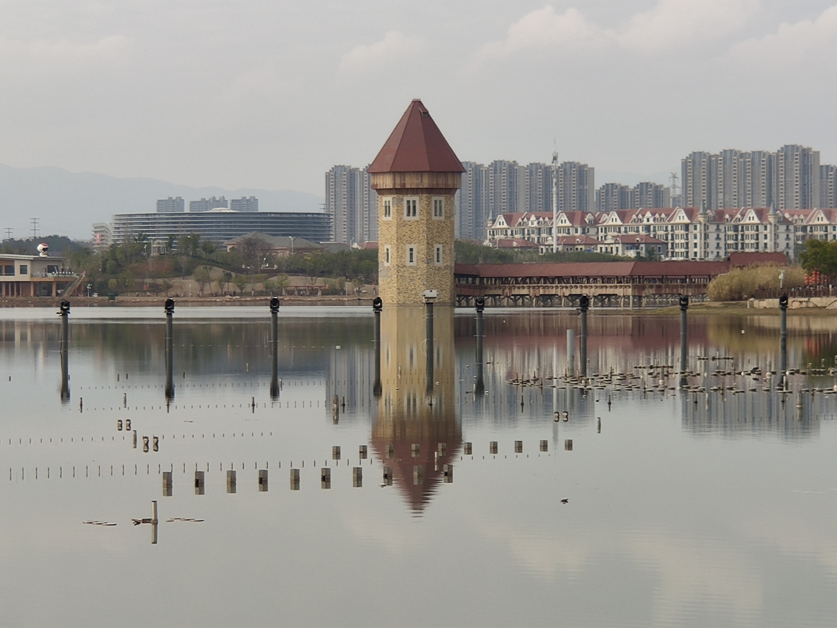 九龙湖湿地公园