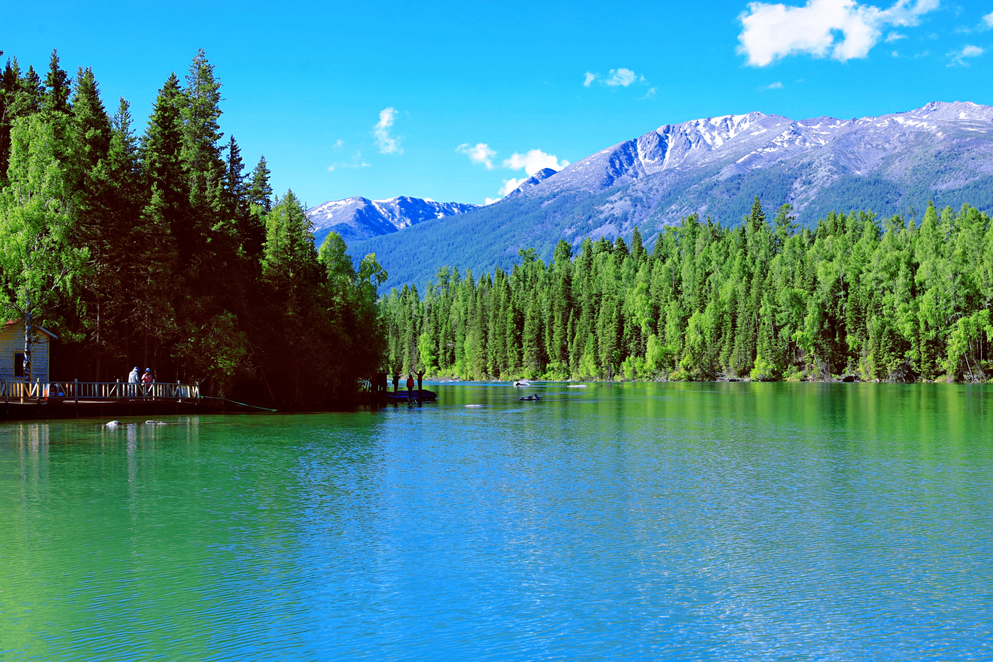 喀纳斯风景