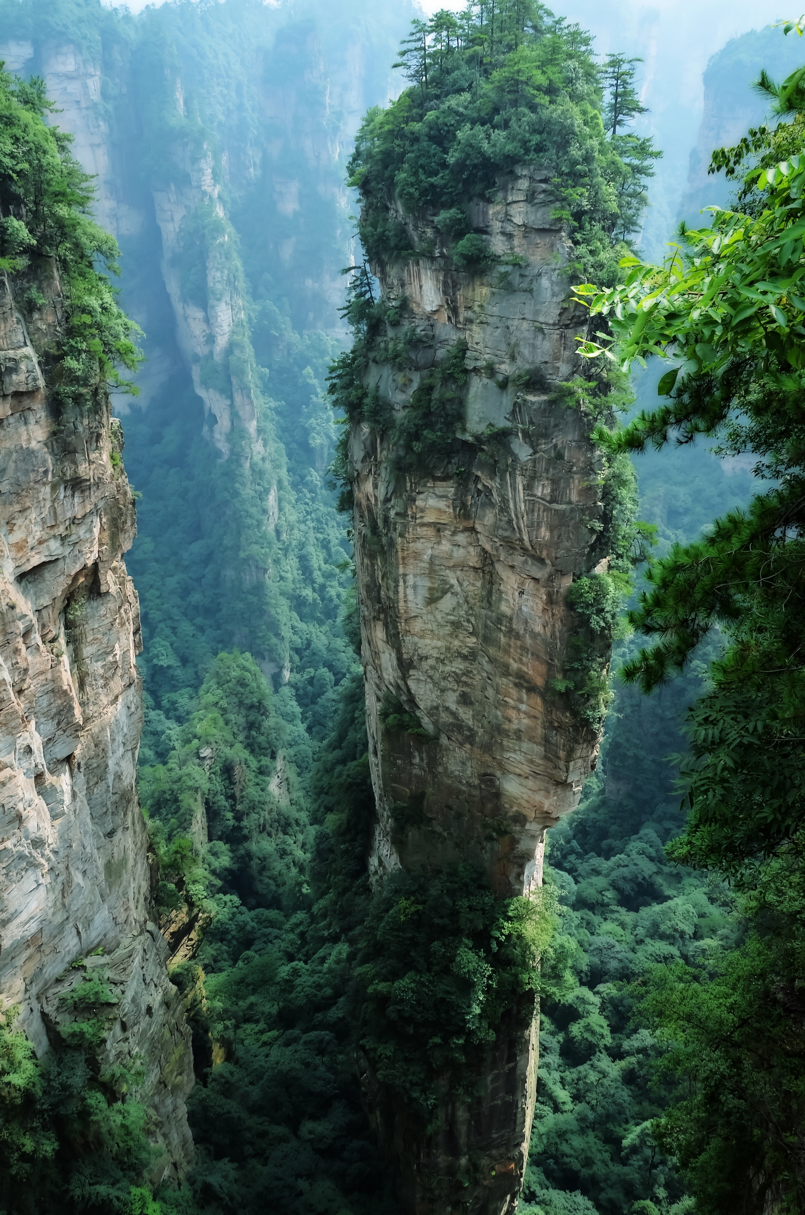 来到张家界,不禁被独一无二,旷世绝伦的奇山险峰所迷倒,不