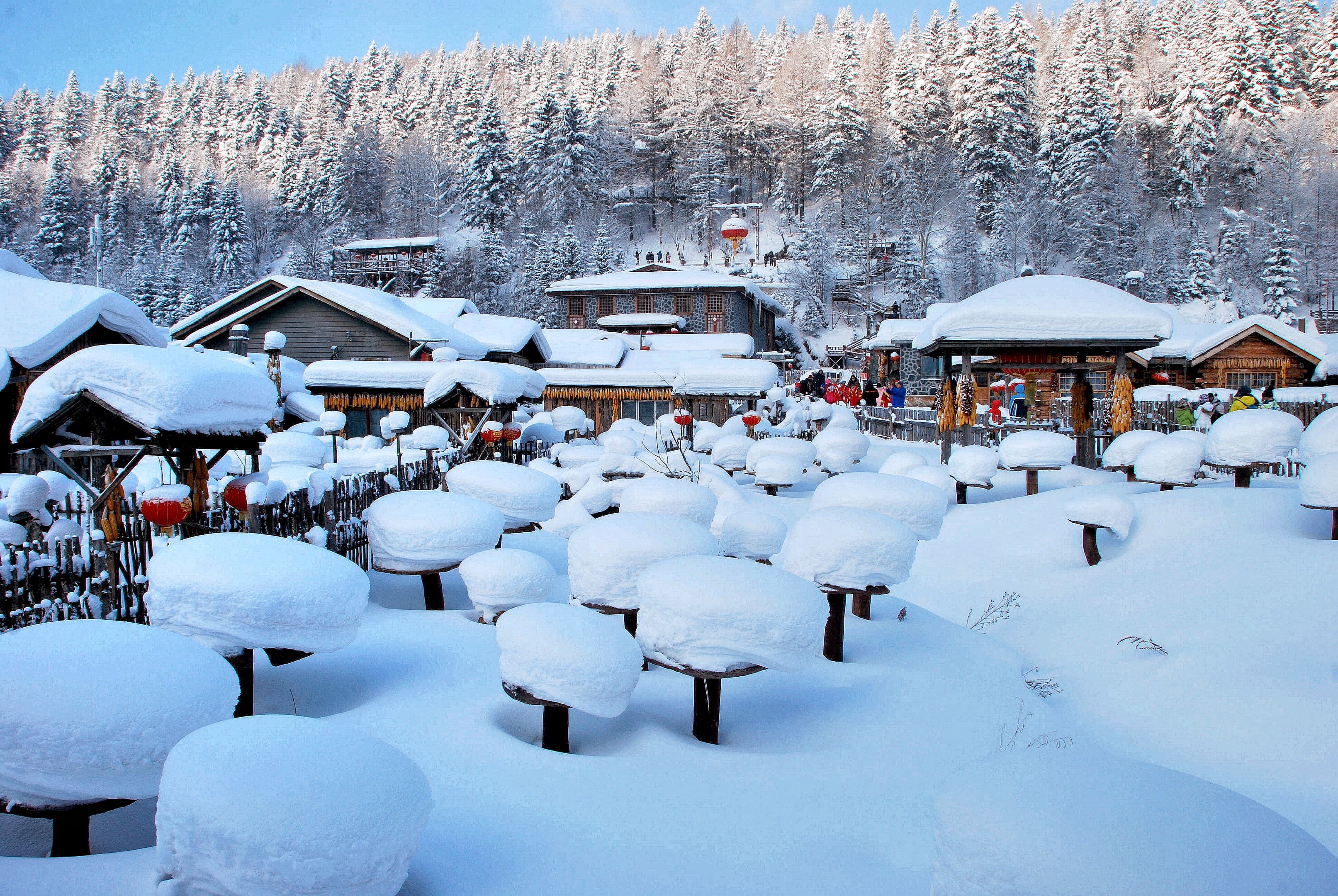 黑龙江雪乡国家森林公园始建于1999年,是国家aaaa级旅游风景区.