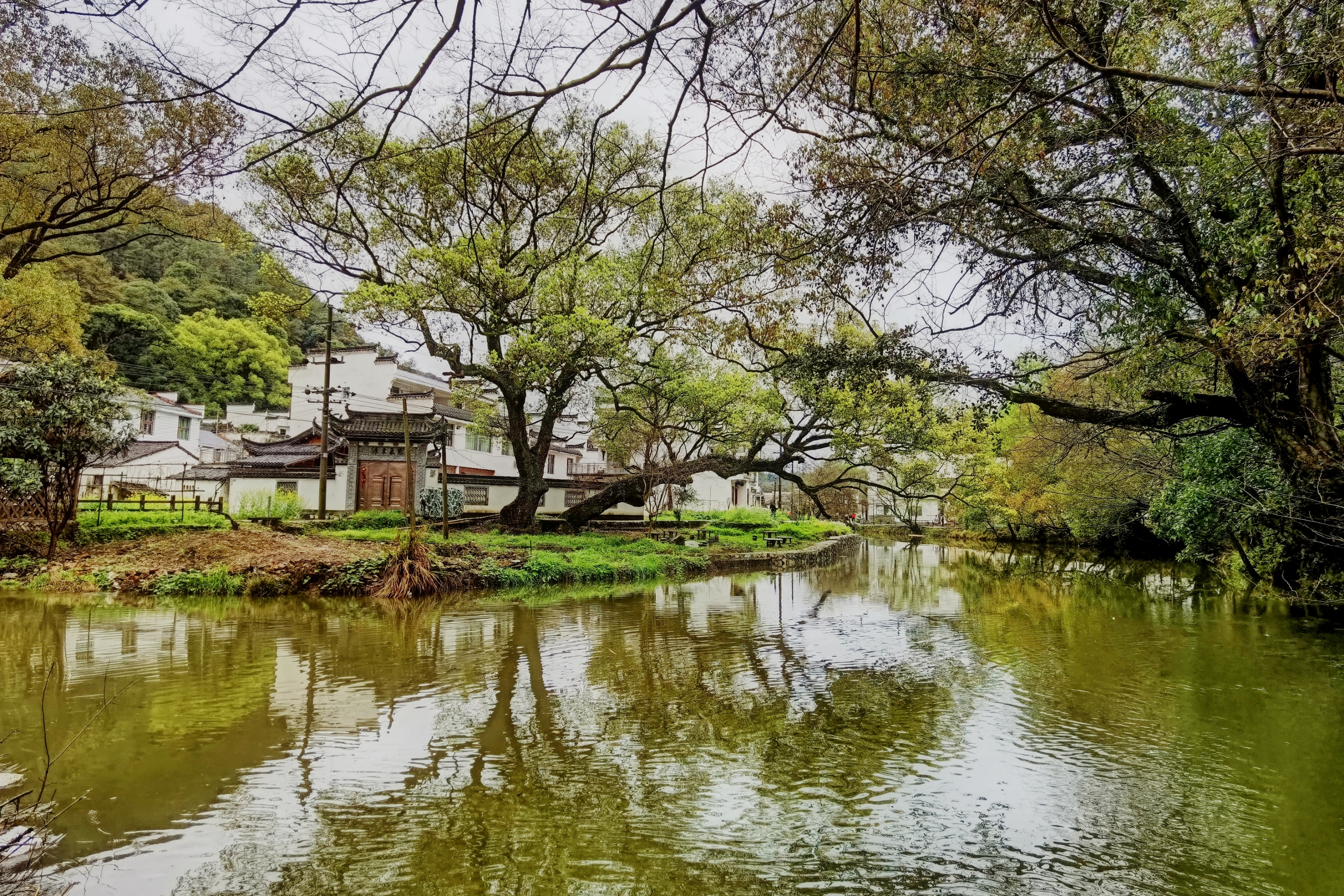 婺源晓起村首发