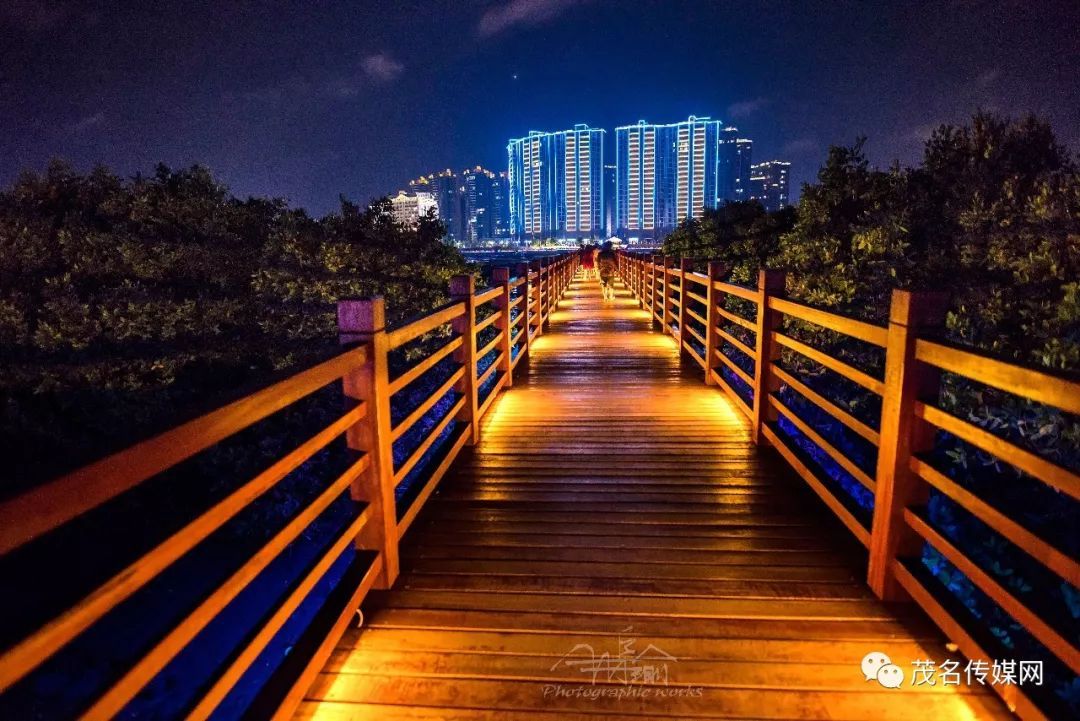 风送爽.海湾栈道灯辉敞.金珠烁.桥姿绰.玉月追云,海空玄邈. 跃.跃.