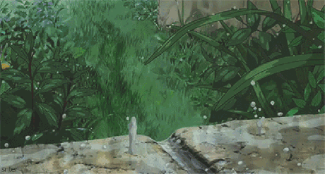 等你在雨中作者余光中