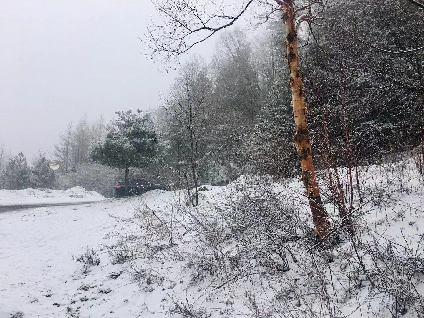 大年初二秦岭山里的雪景