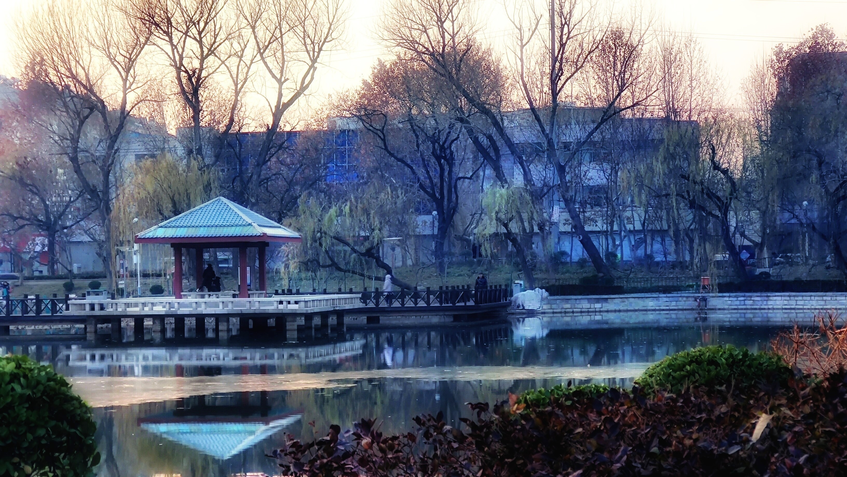 冬季,东湖公园美景 (手机版)