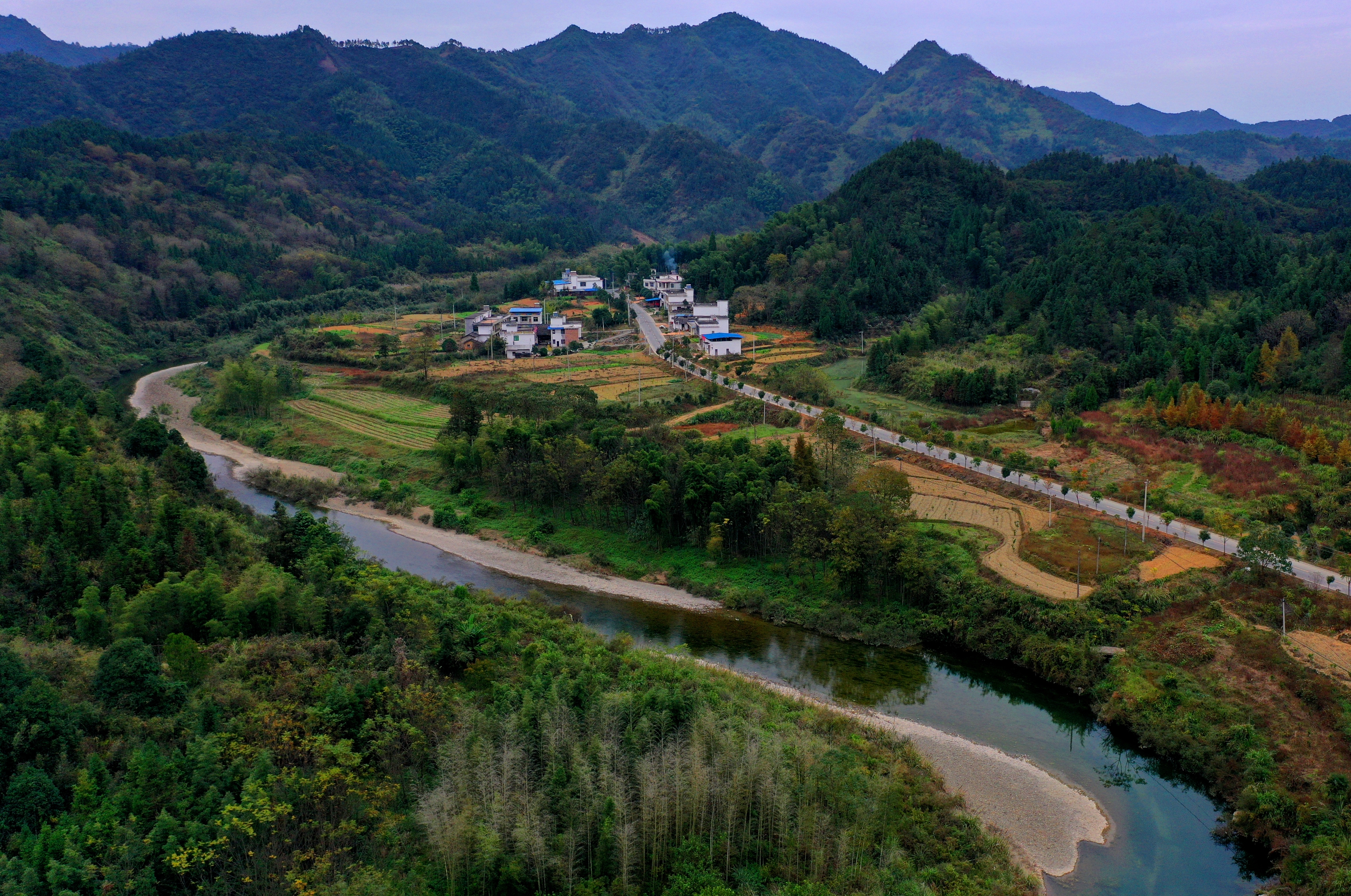 金塘镇黄洋湾村貌