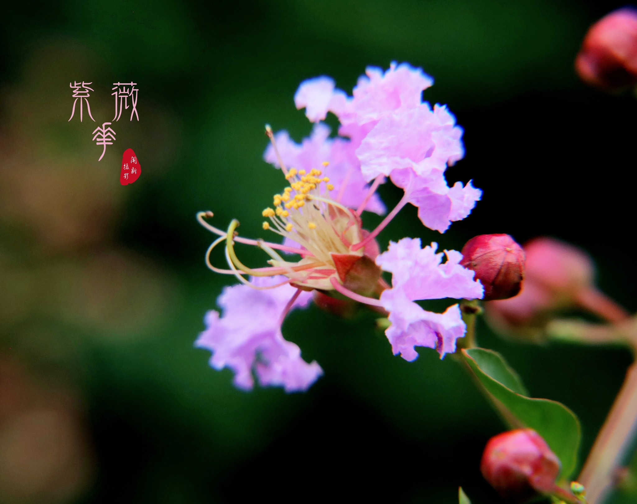 ޱ(vv׷)