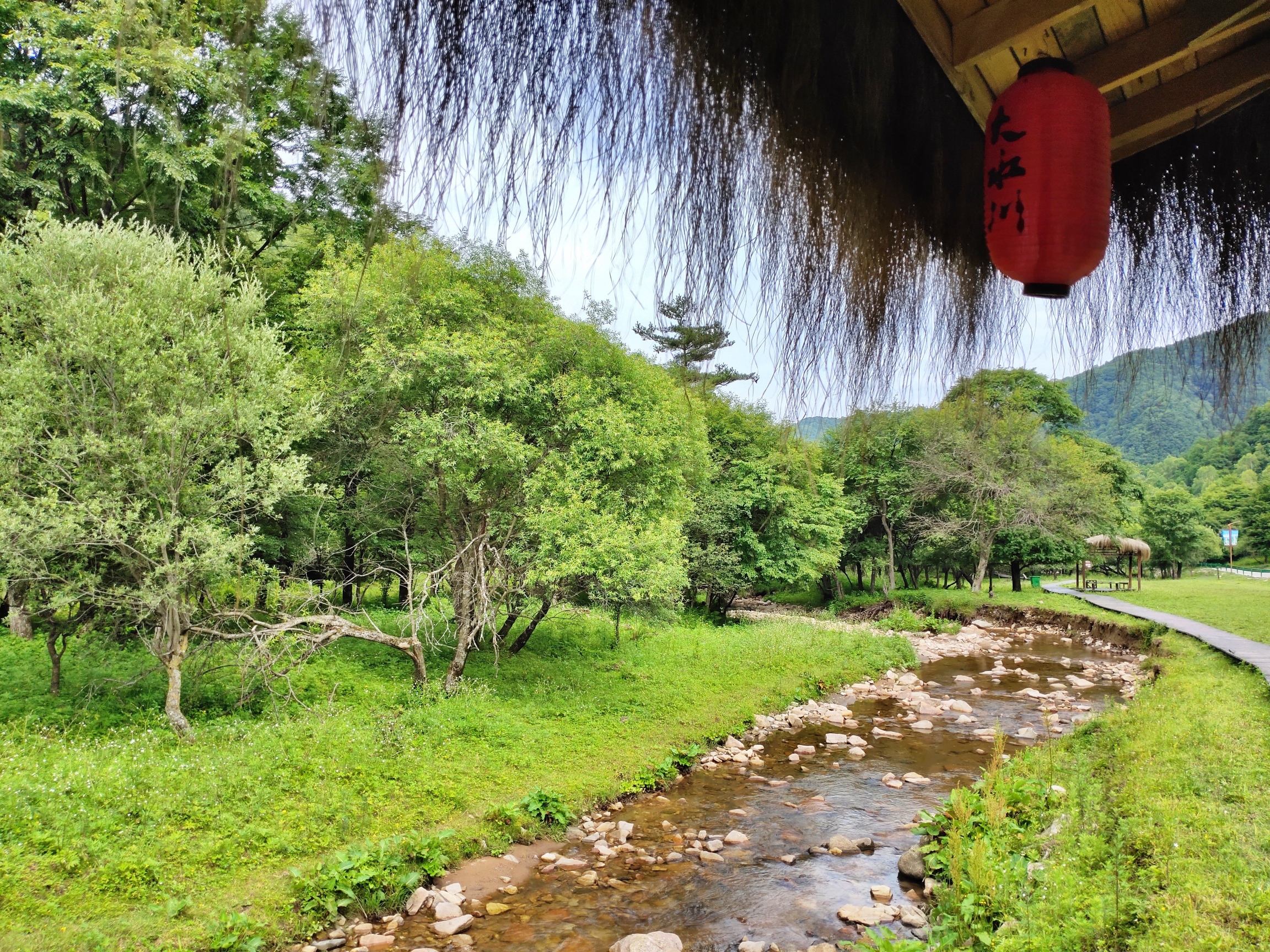 大水川