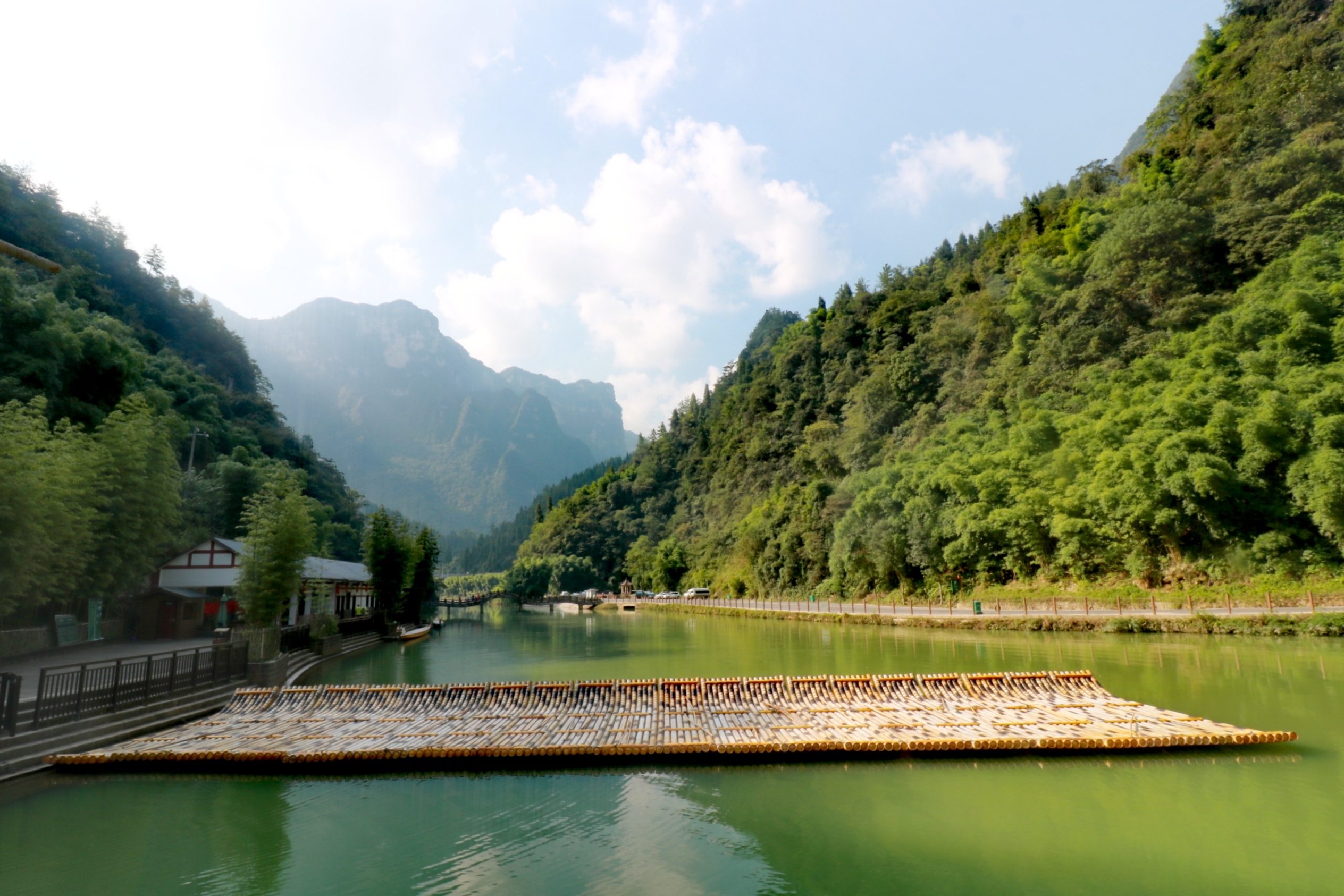 三峡竹海 建东采摘