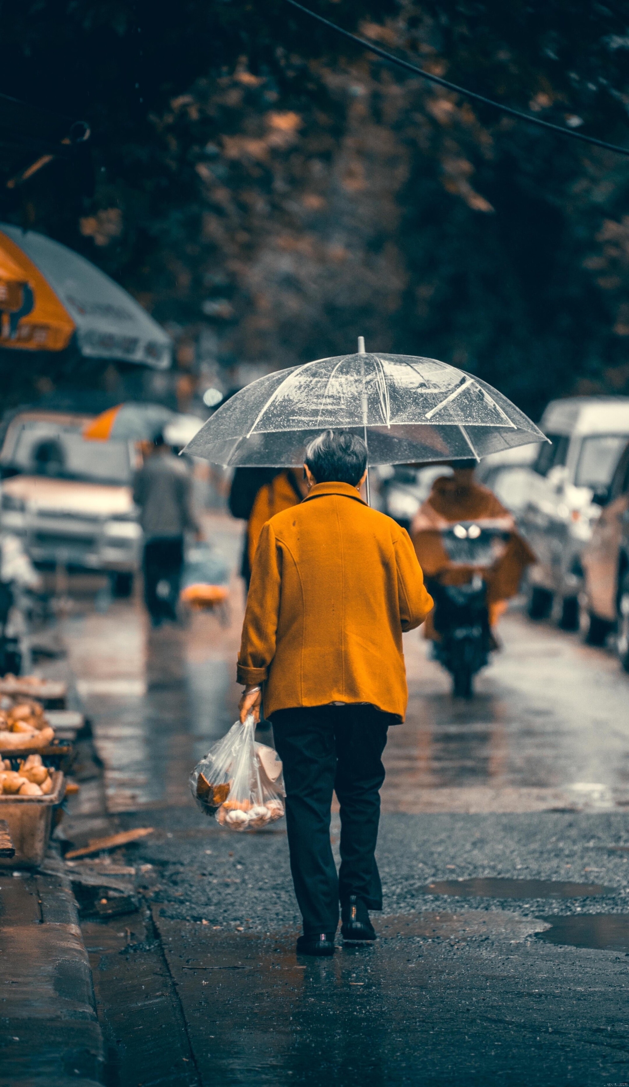 【首发】背影仍在风雨中行走