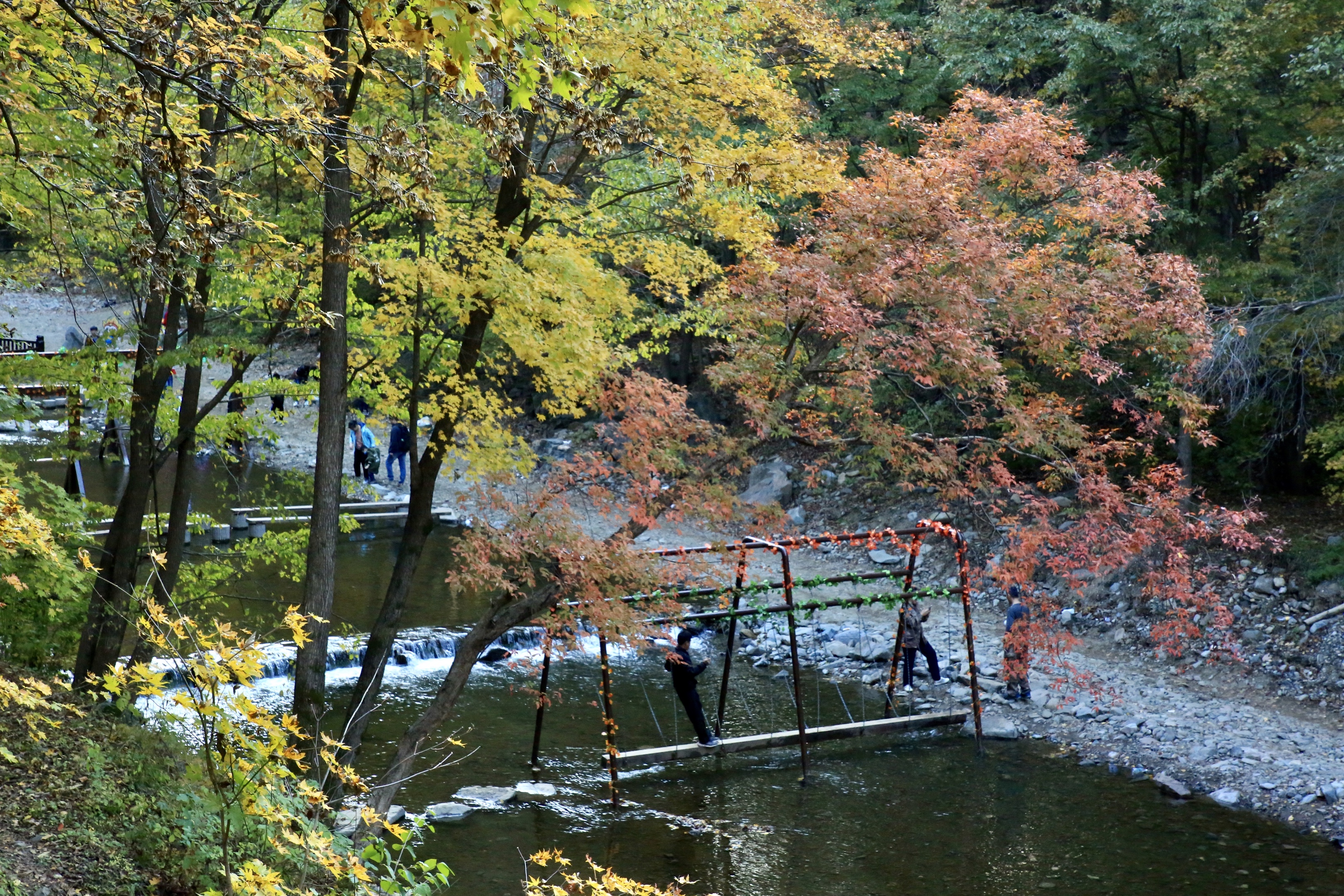 红叶醉山间眷恋溪流水