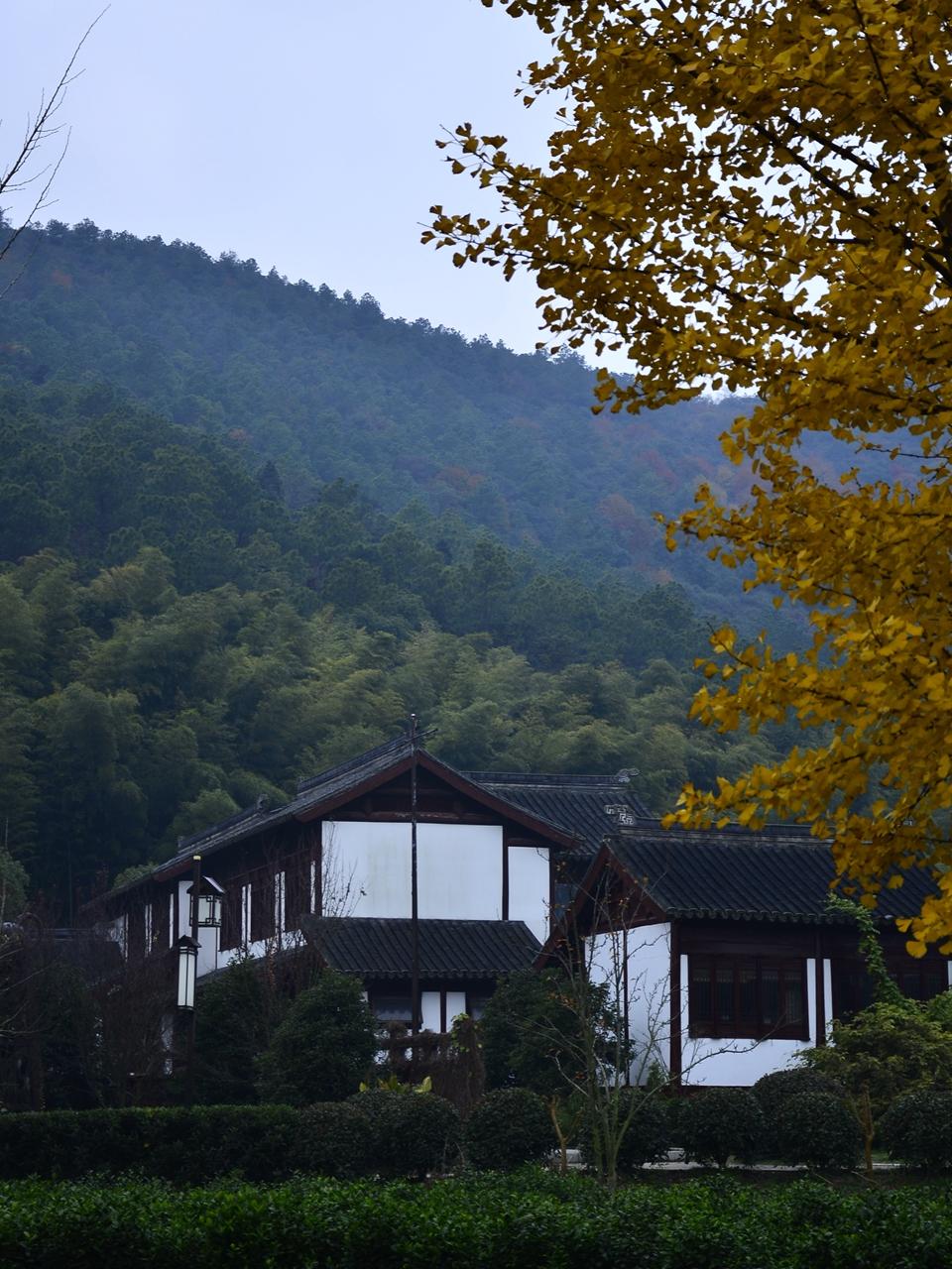 苏州"旺山村"【首发】
