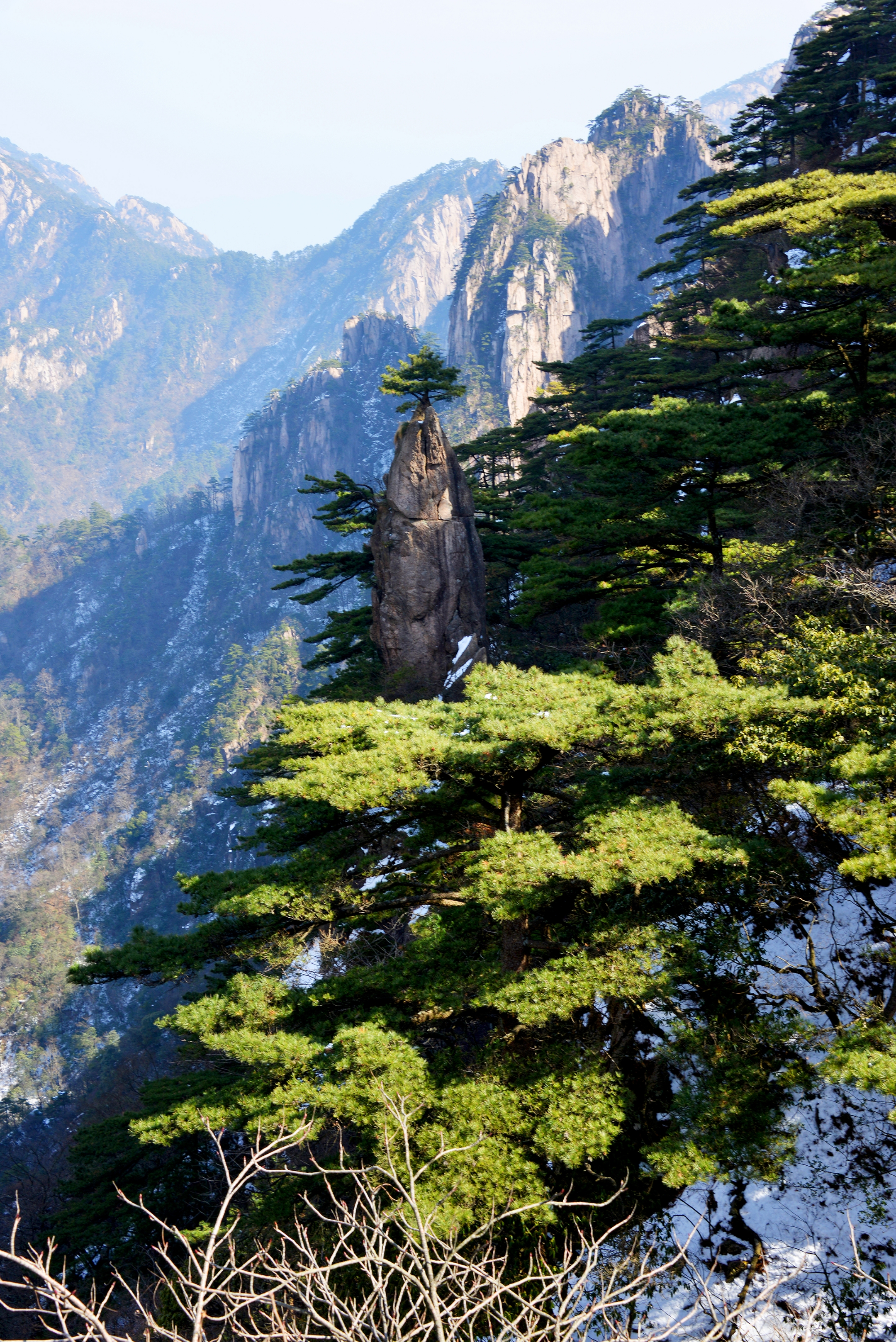 冬游黄山之劲松(首发)